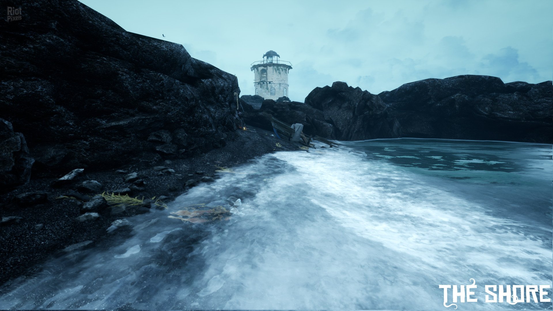 The Shore-HohohoGames