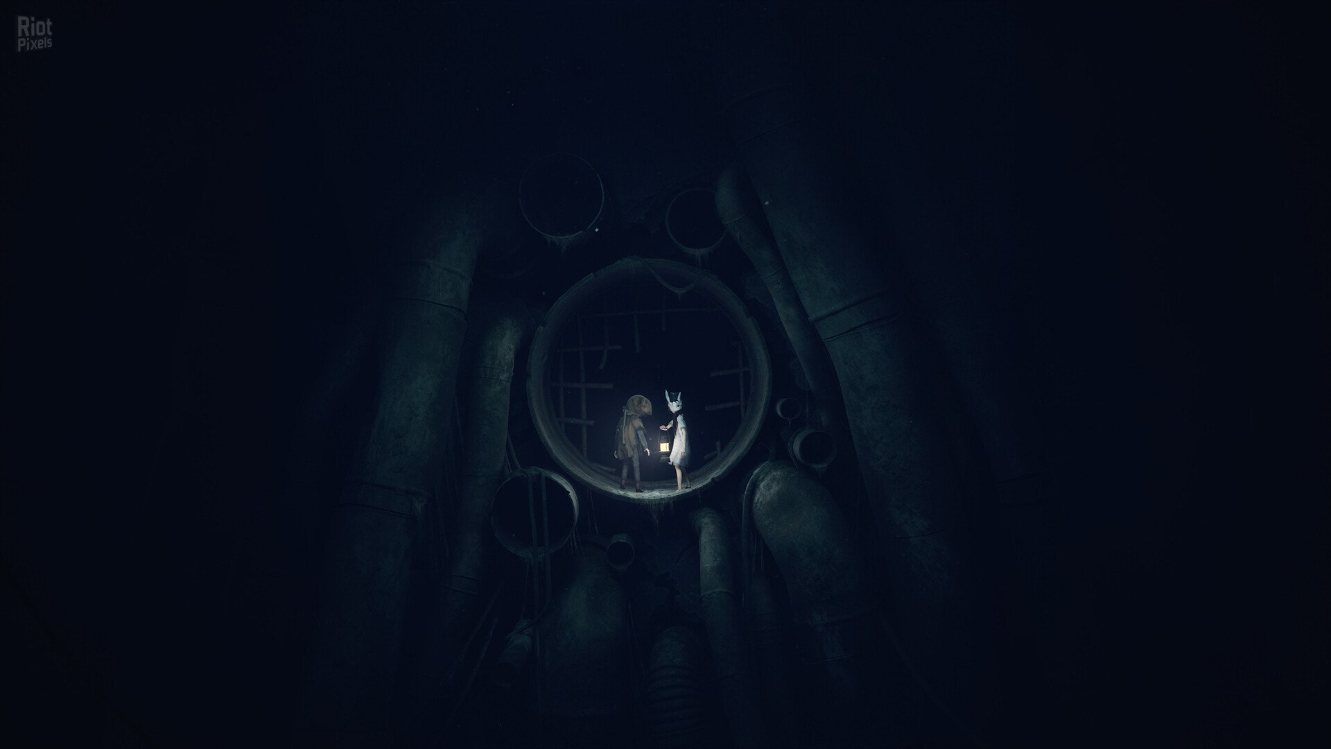 [13]-REANIMAL – v367303/10 + 2 DLCs Download