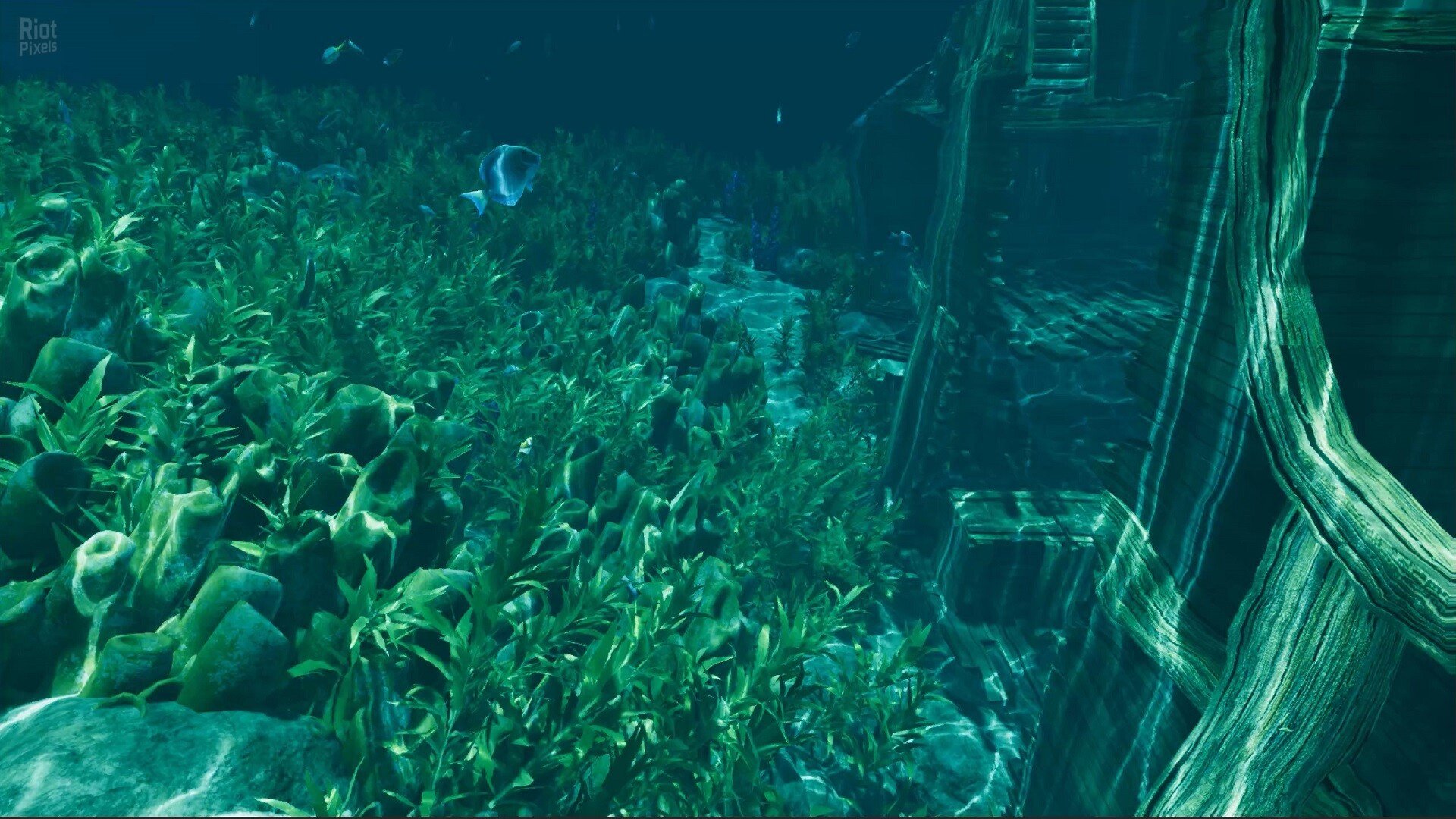[13]-Island Notes – v2.0.0 Download