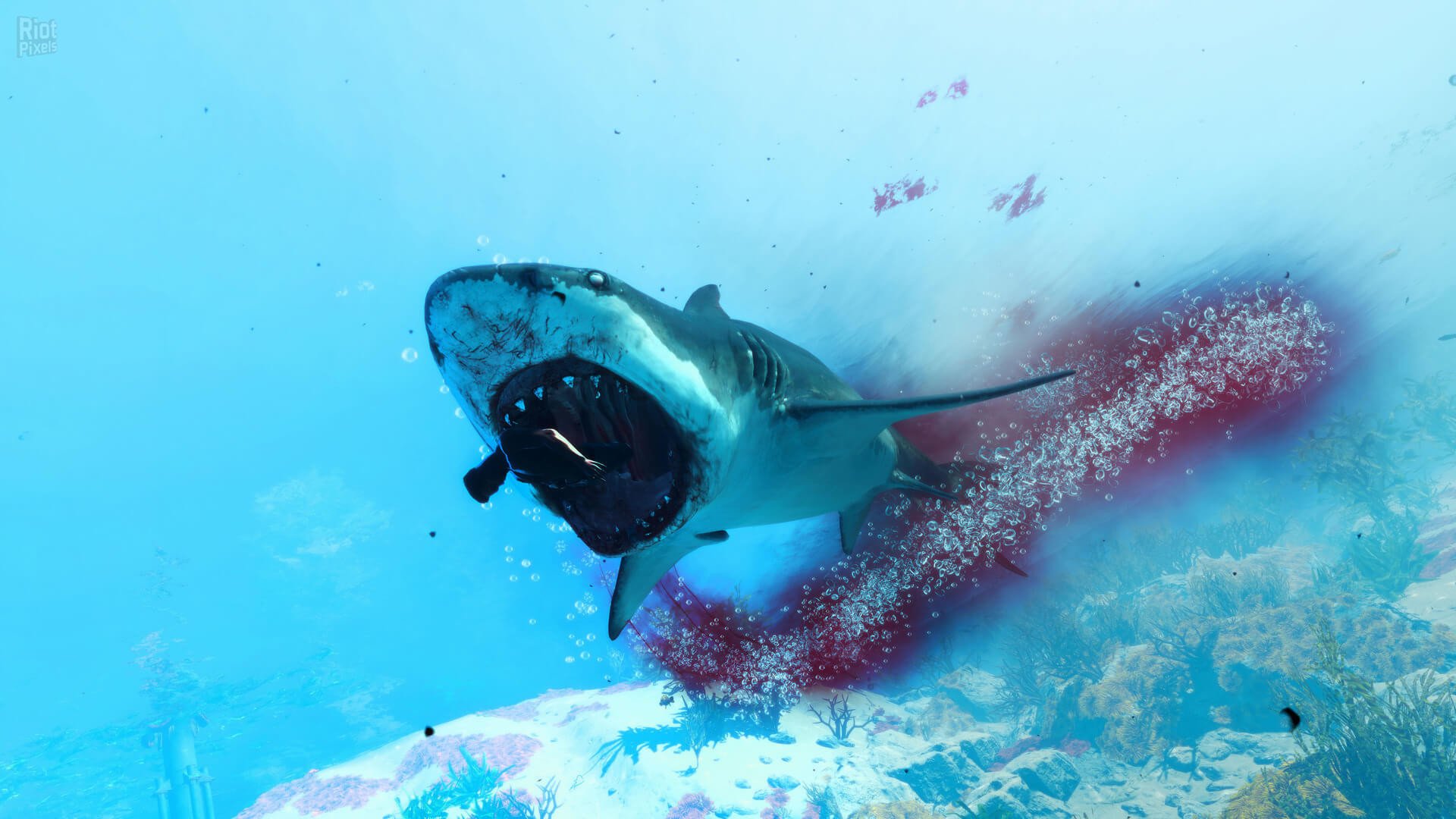 [10]-Maneater: Apex Edition, v431513 (DRM-free) + Truth Quest DLC Download