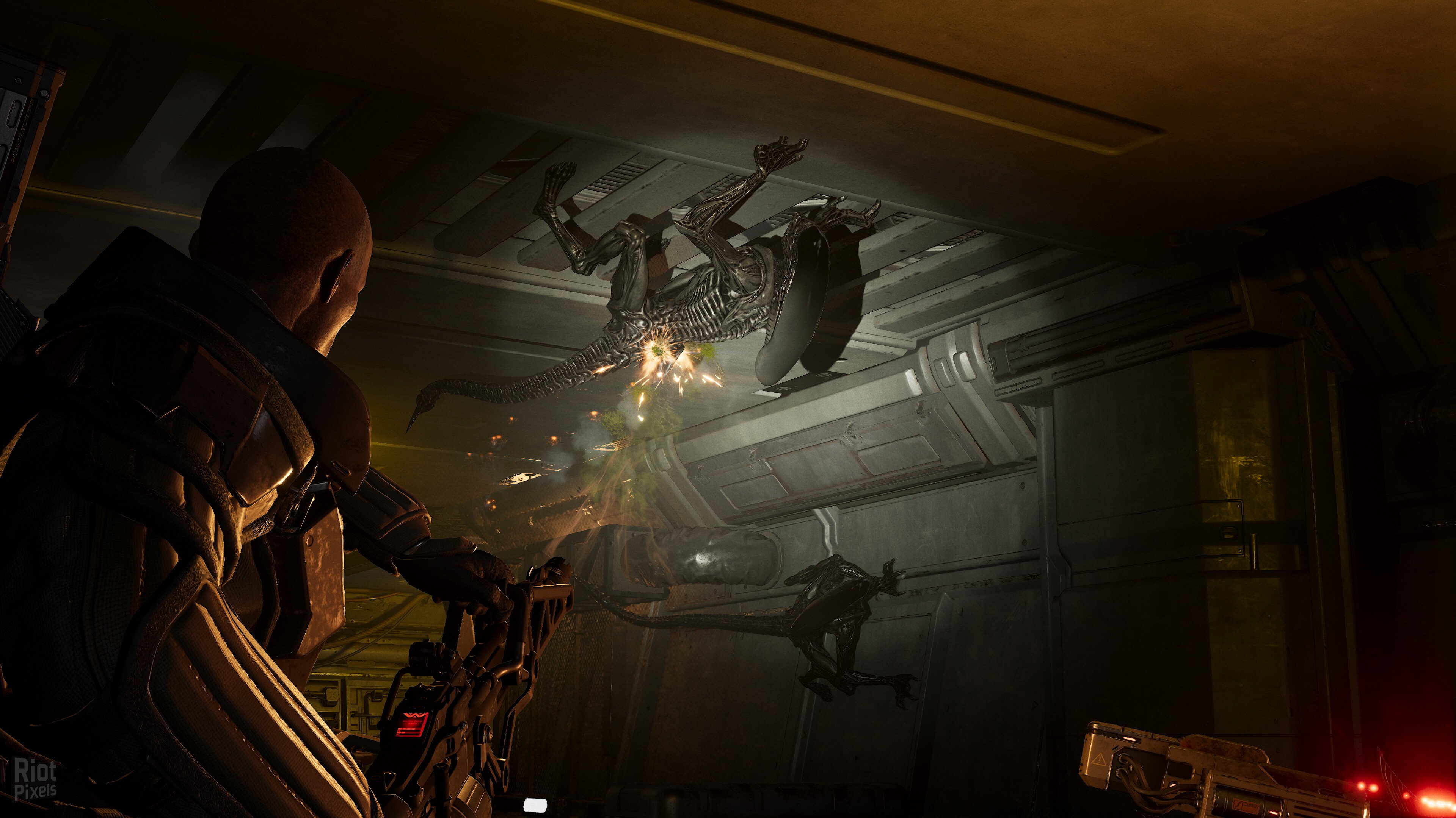 [7]-Aliens: Fireteam Elite 2 – 40th Anniversary Premium Edition, v1.0.0 Build 118626 + 2 DLCs Download