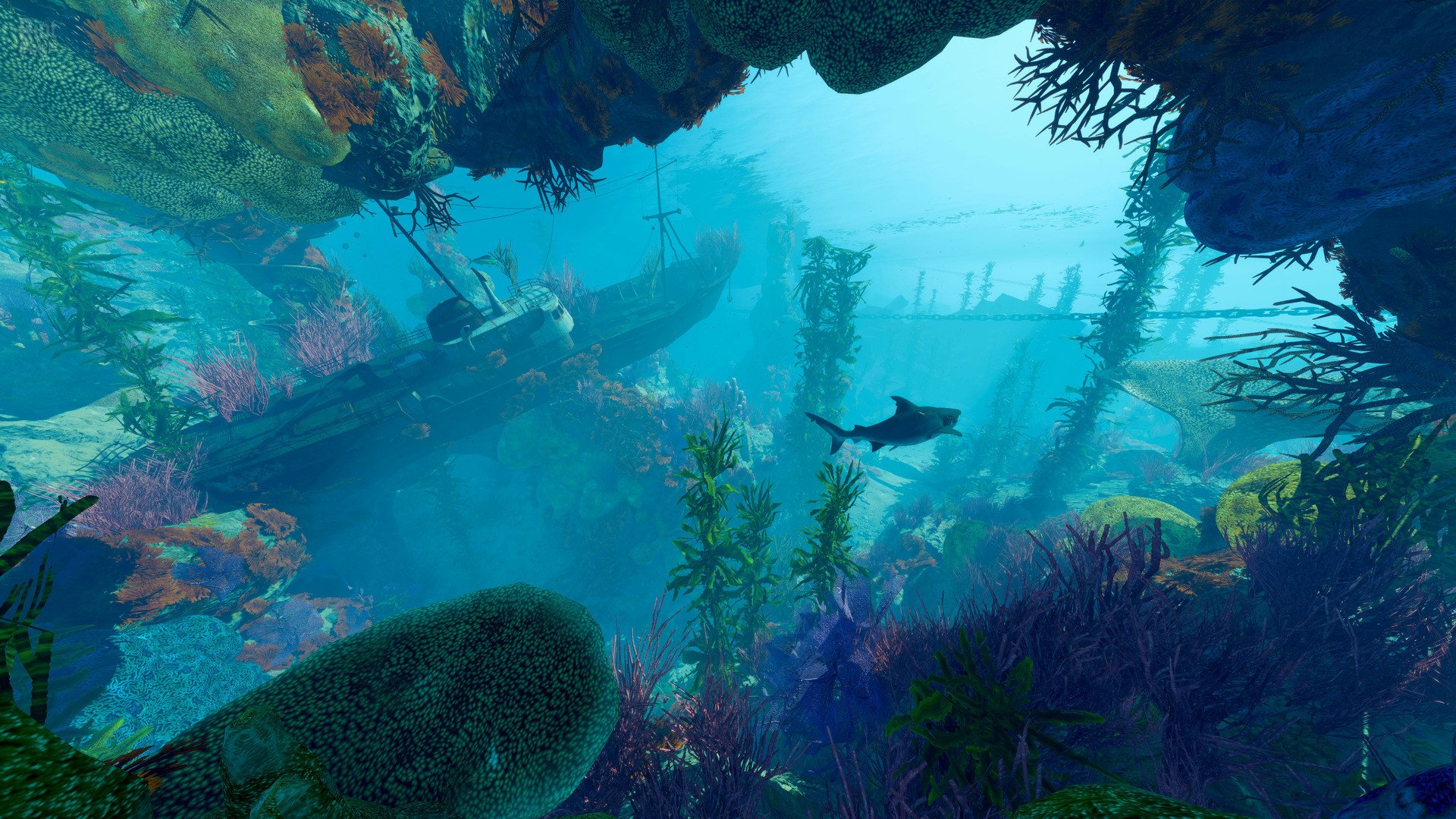 [13]-Maneater: Apex Edition, v431513 (DRM-free) + Truth Quest DLC Download