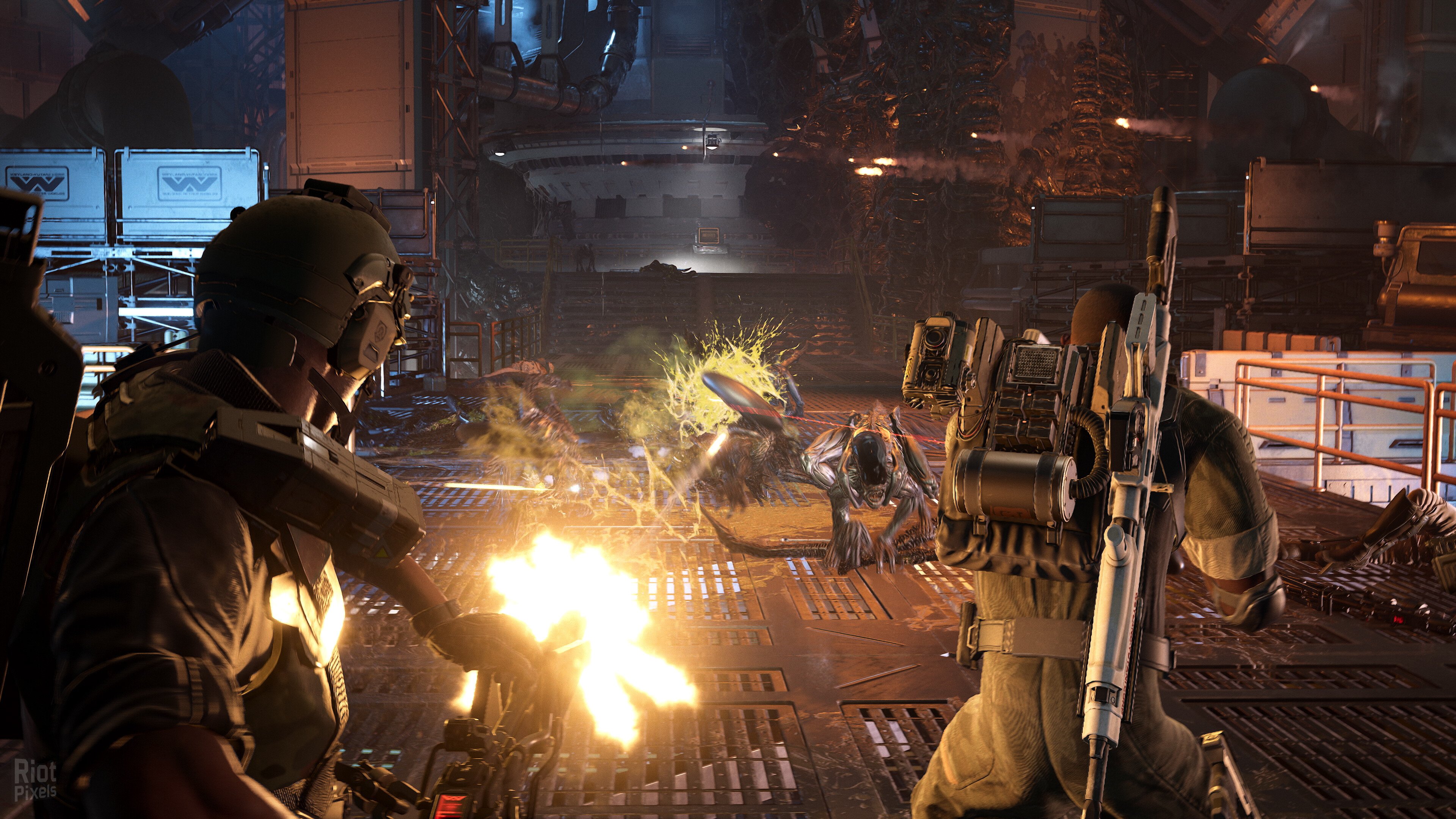 [2]-Aliens: Fireteam Elite 2 – 40th Anniversary Premium Edition, v1.0.0 Build 118626 + 2 DLCs Download