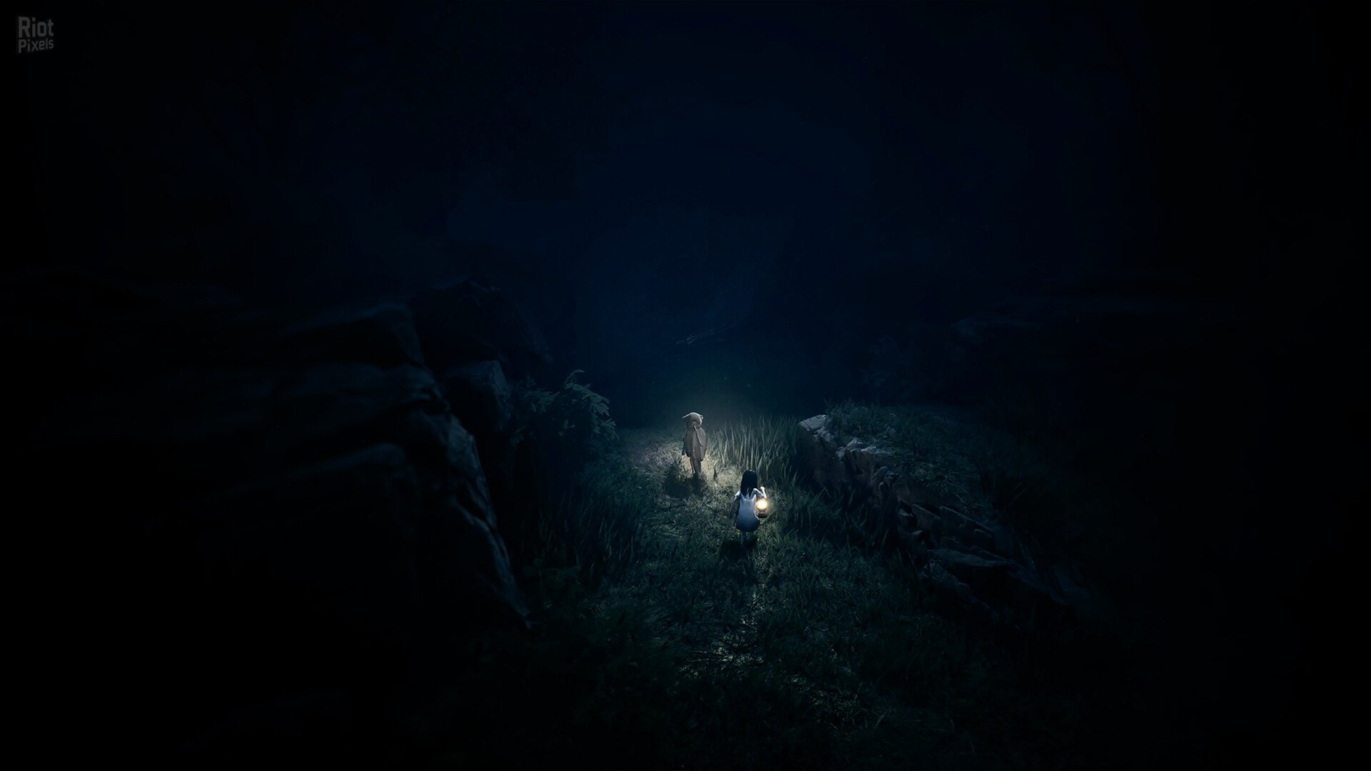 [11]-REANIMAL – v367303/10 + 2 DLCs Download