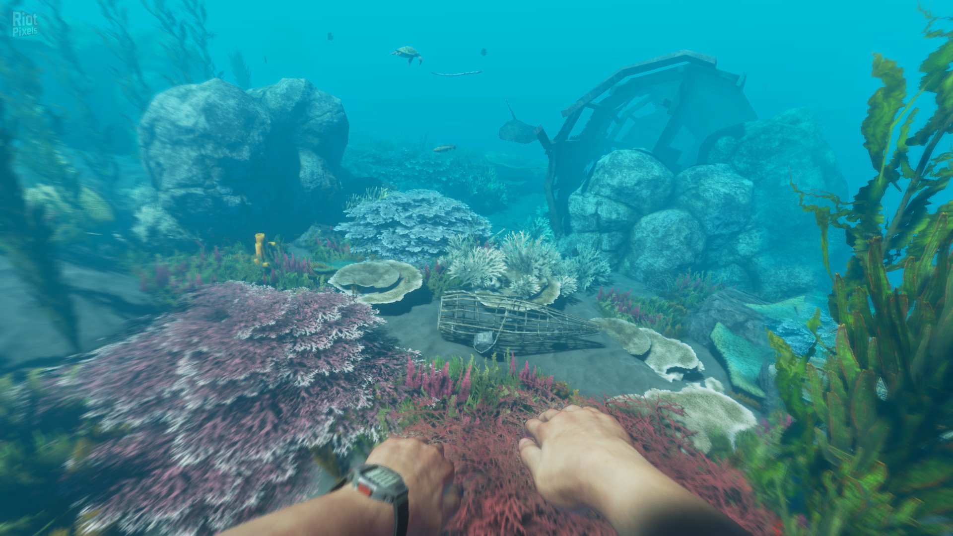 [3]-Stranded Deep – v1.0.6.0.17 Release Download