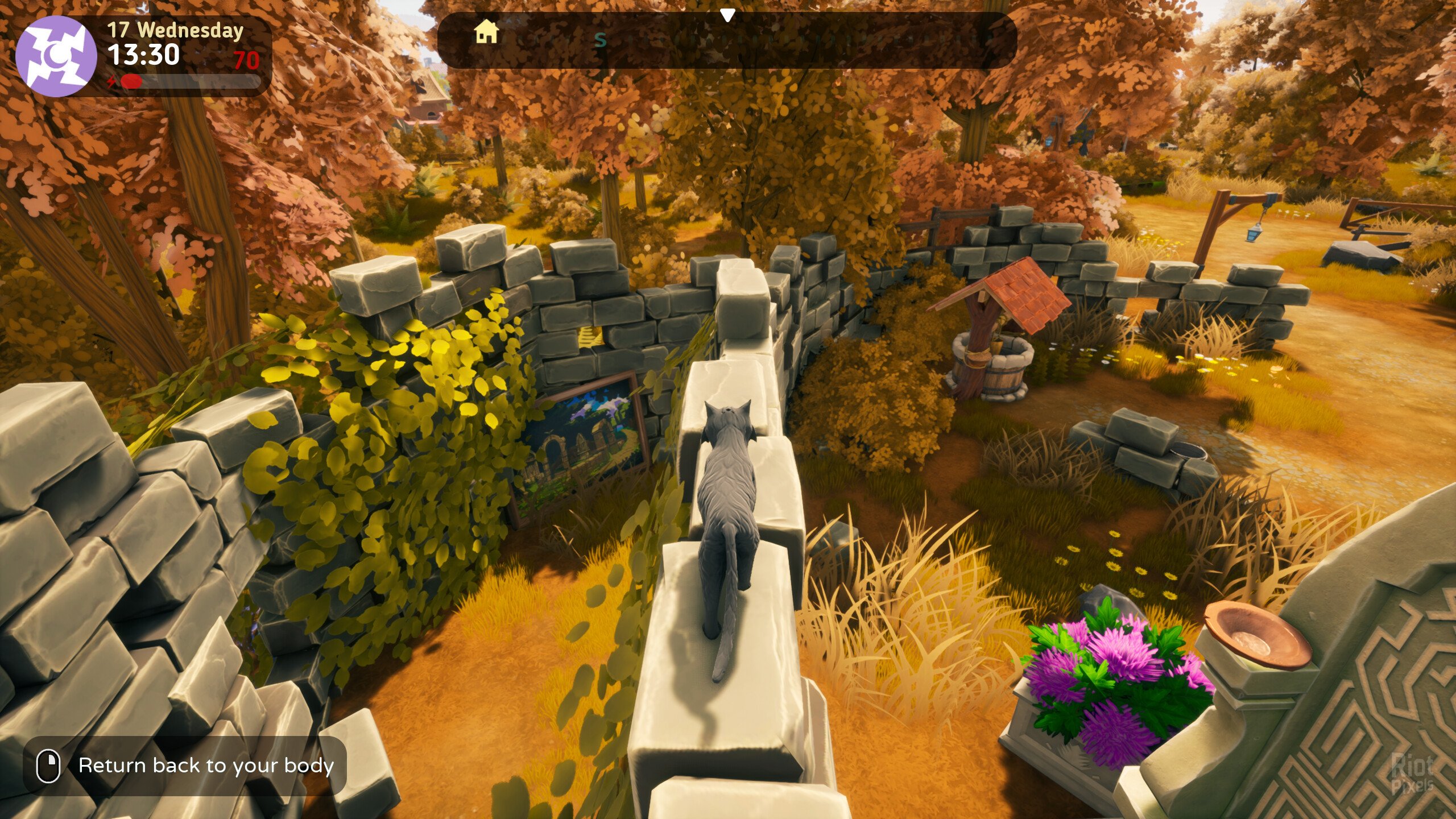 [10]-The Witch of Fern Island – v1.0.0_B + DLC Download