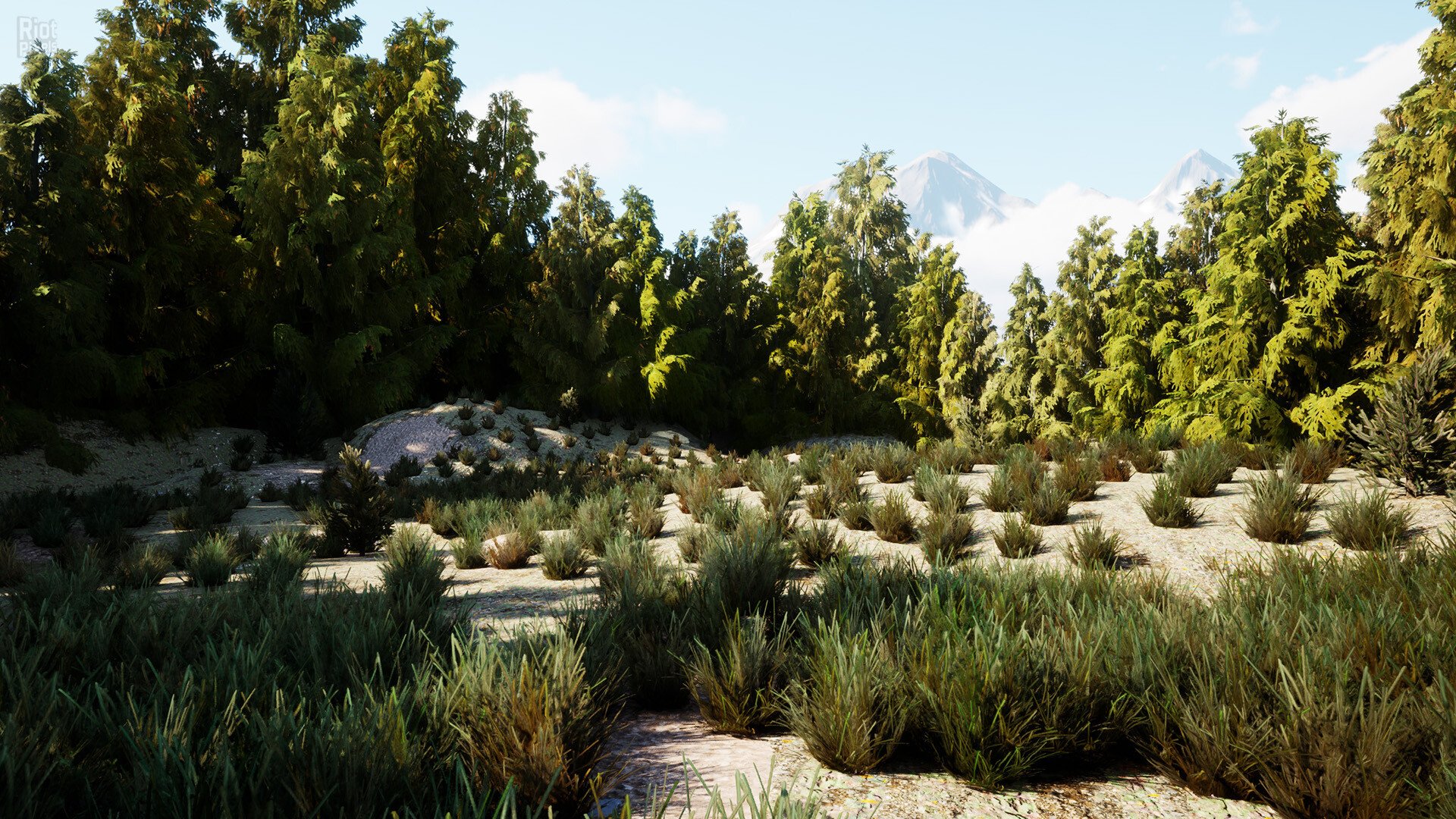 [9]-The Cadet Files: Scene Unseen + Windows 7 Fix Download