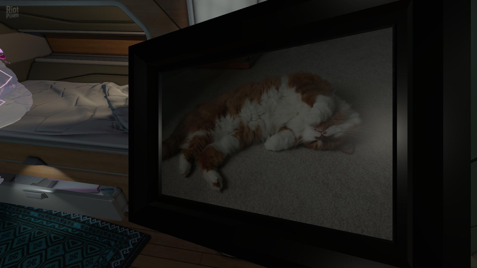 [16]-Tacoma Download