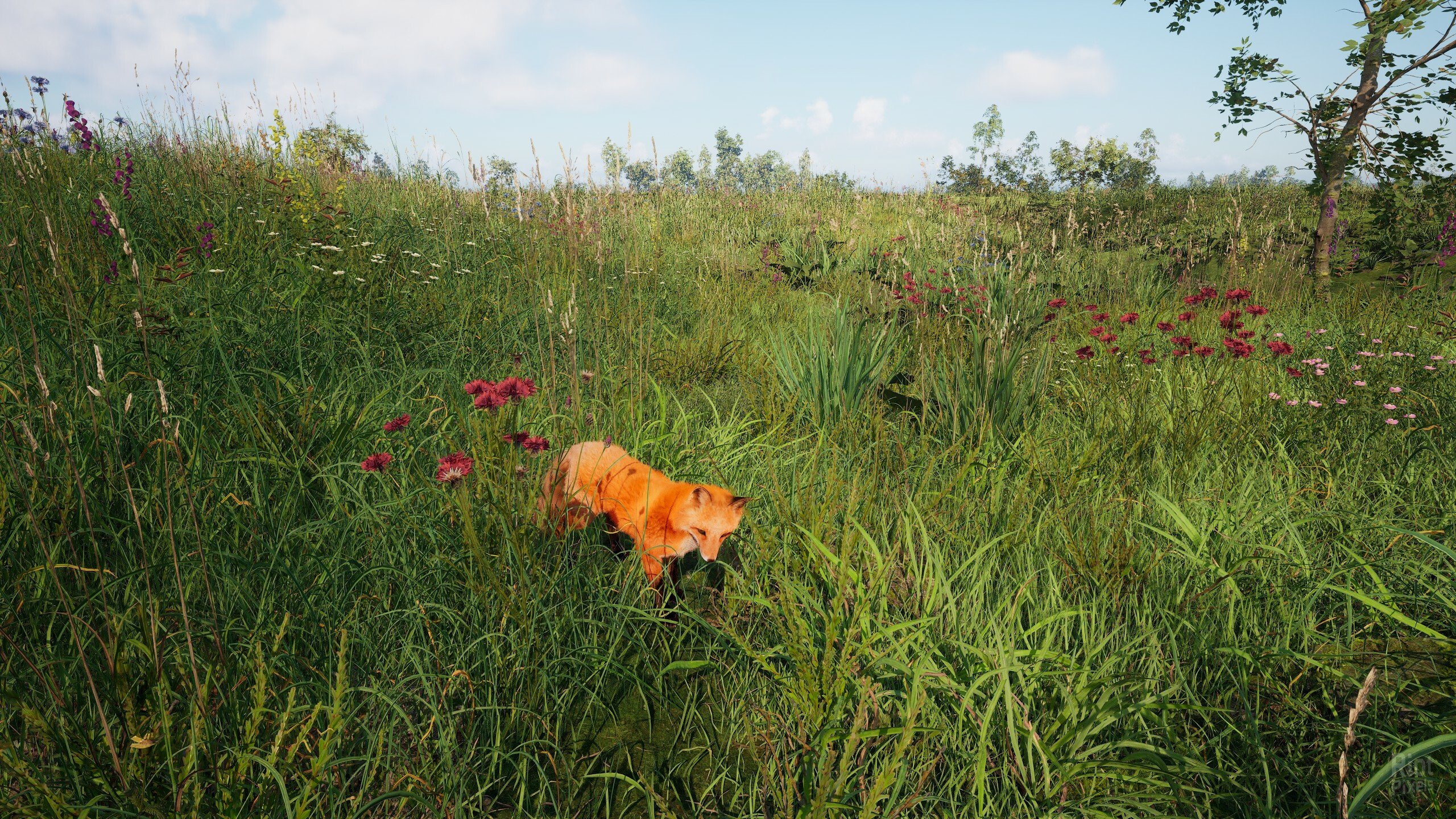 [4]-Russian Soul Simulator Download