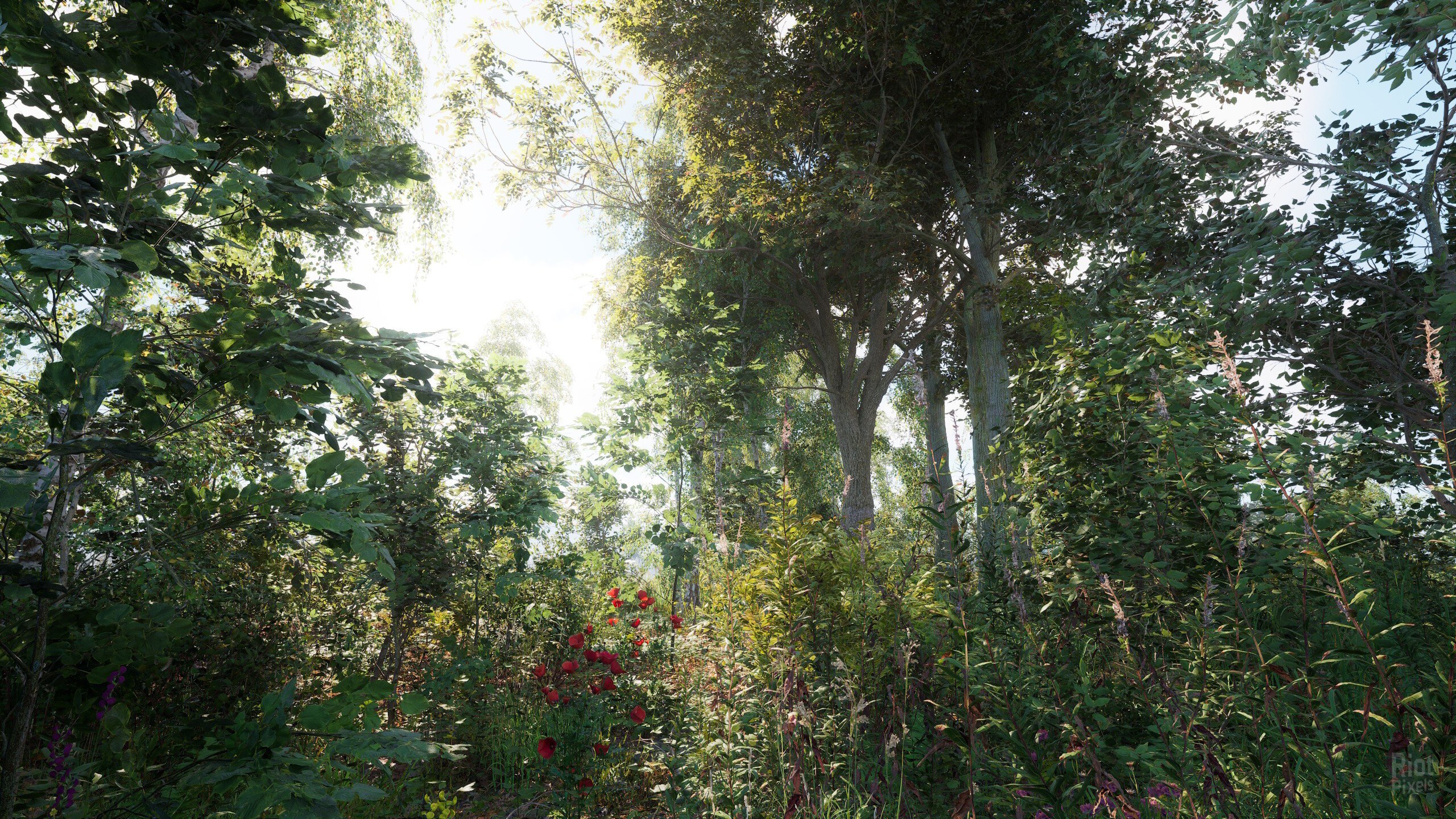 [2]-Russian Soul Simulator Download