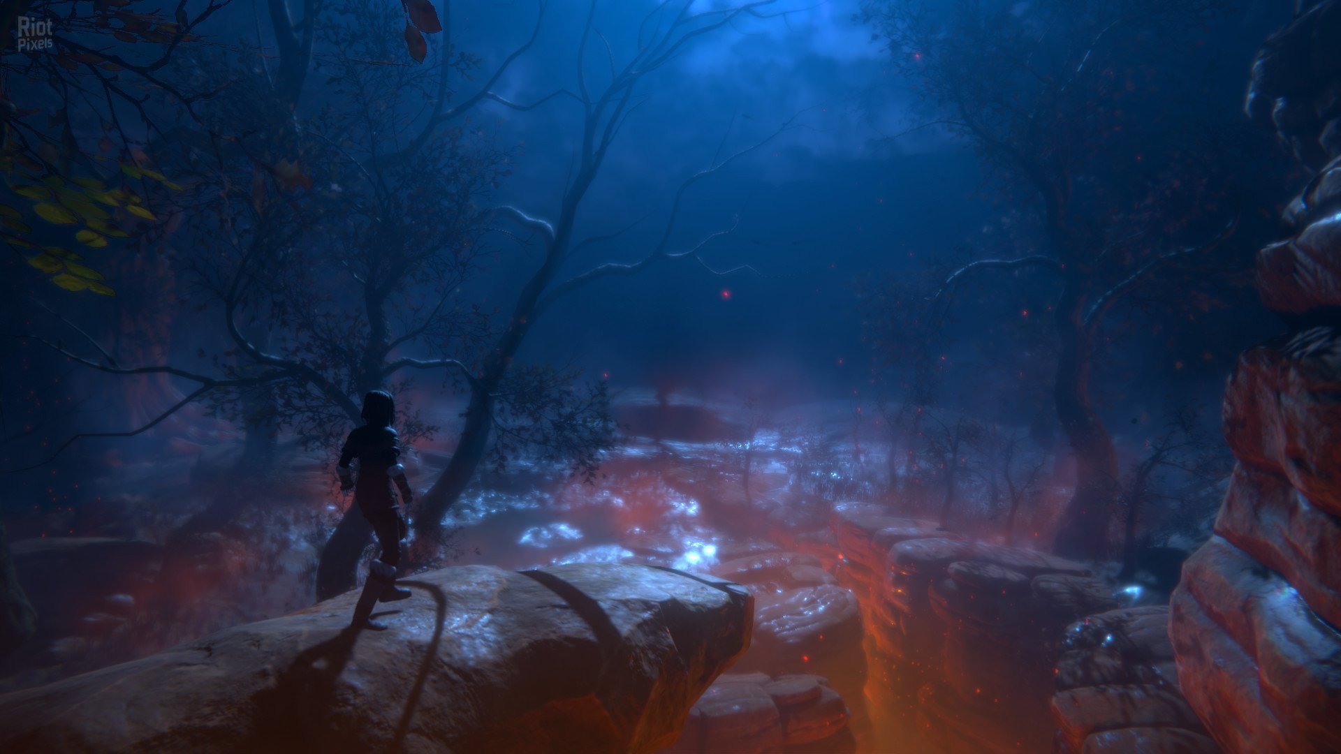 [3]-Seed of Life Download