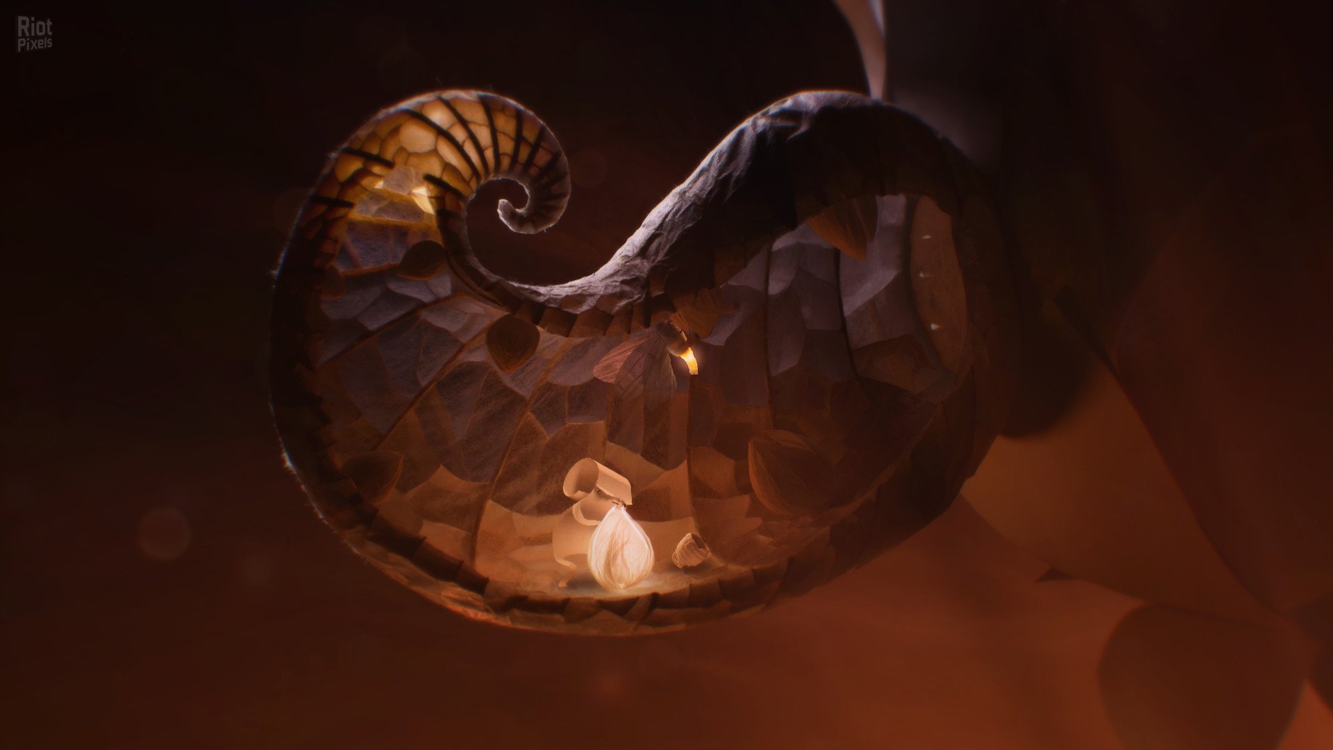 [5]-Papetura – Build 9476393 Download