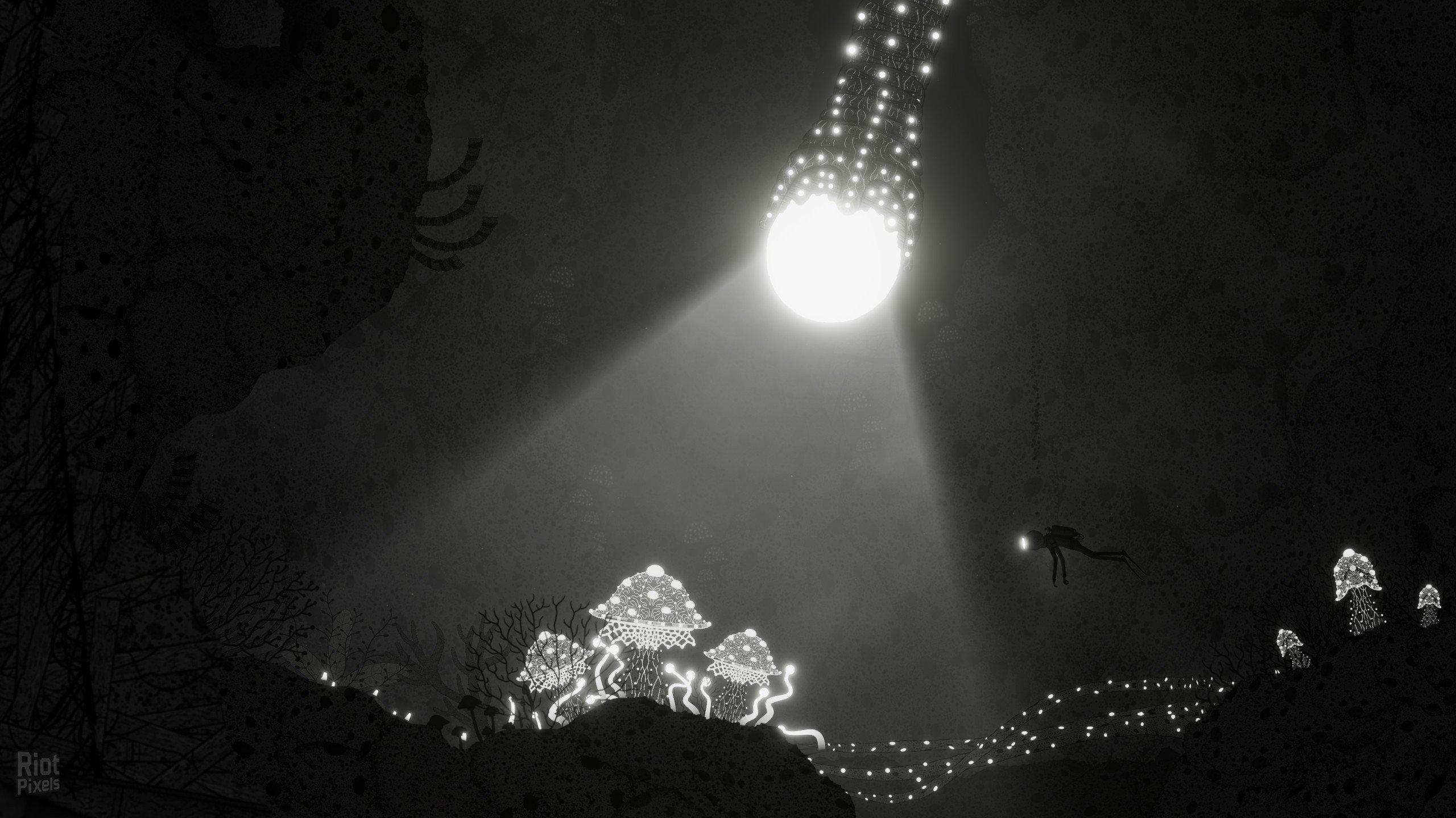 [12]-Silt – v1.0.0 Build 1013 Download