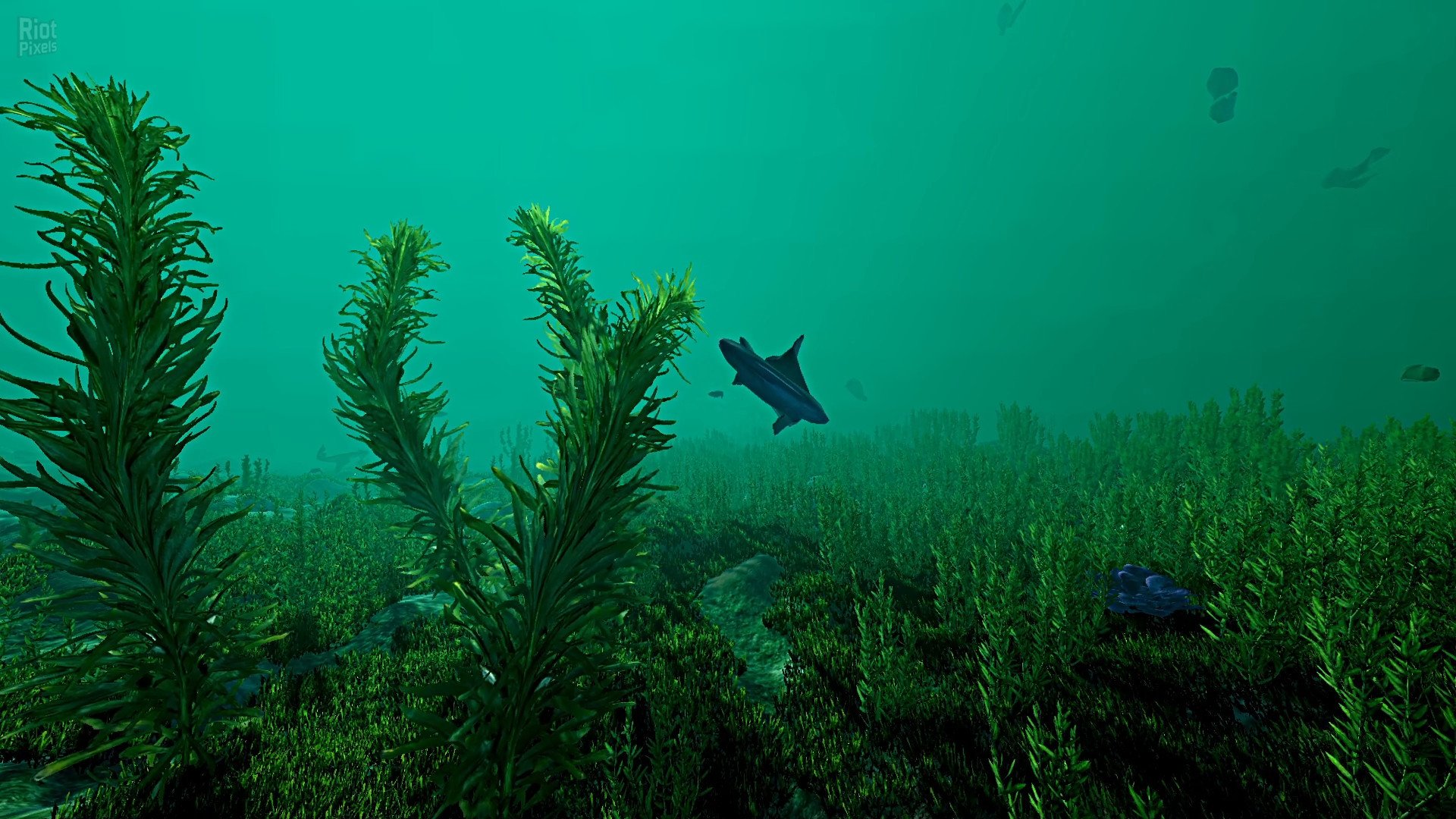 [15]-Ecosystem – v1.01 Download