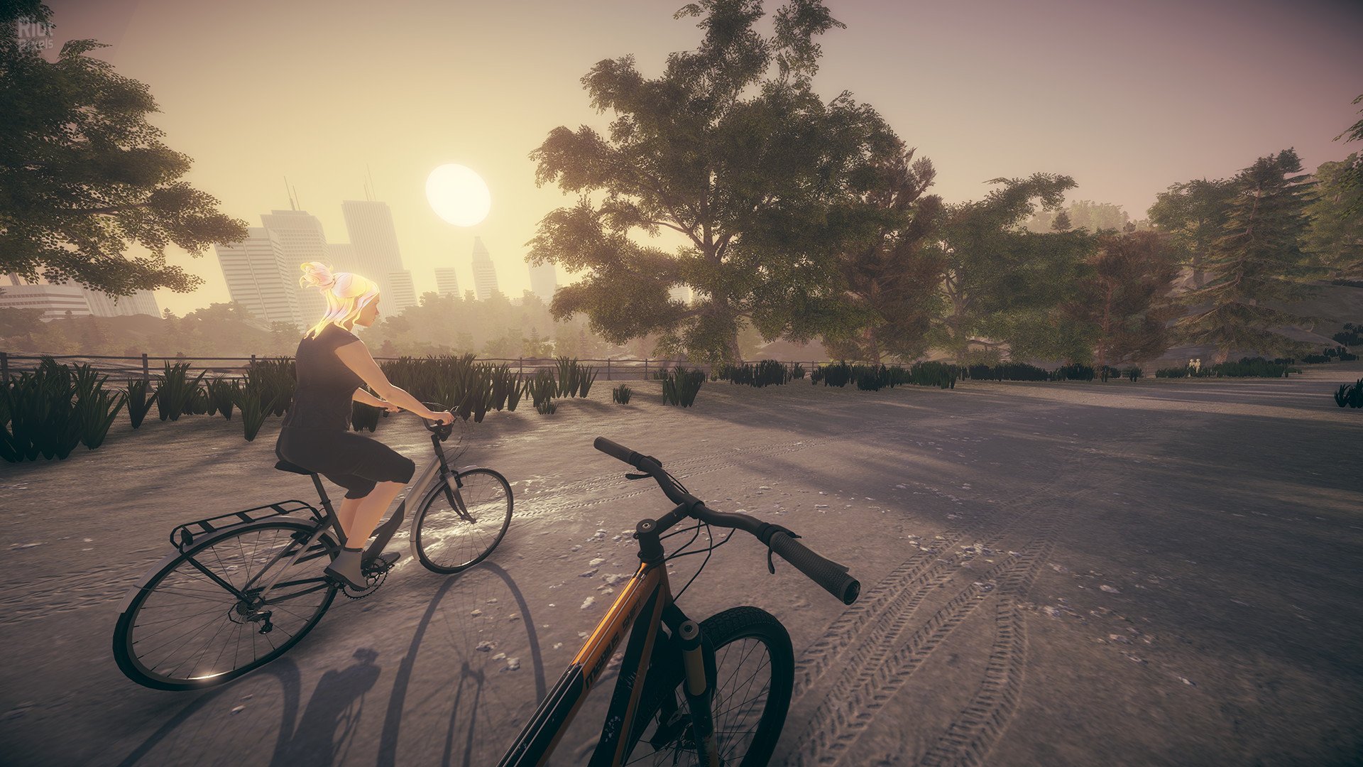 [6]-Anamorphine Download