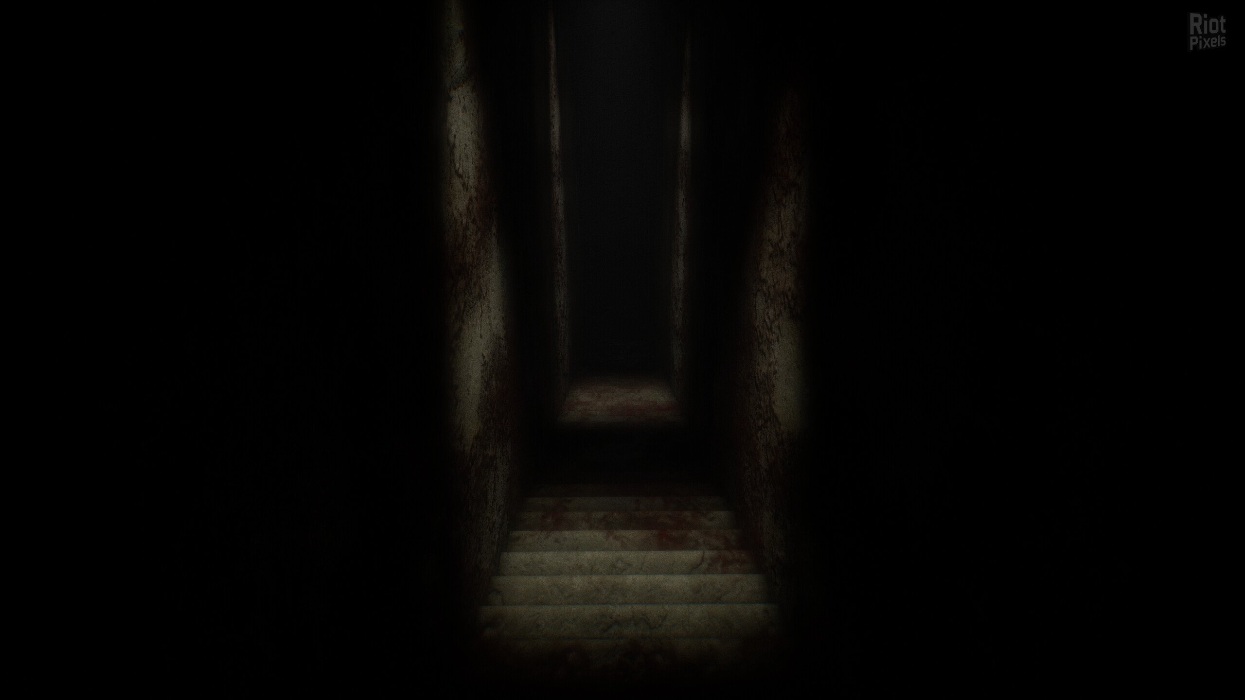 [11]-Gym Nights Download