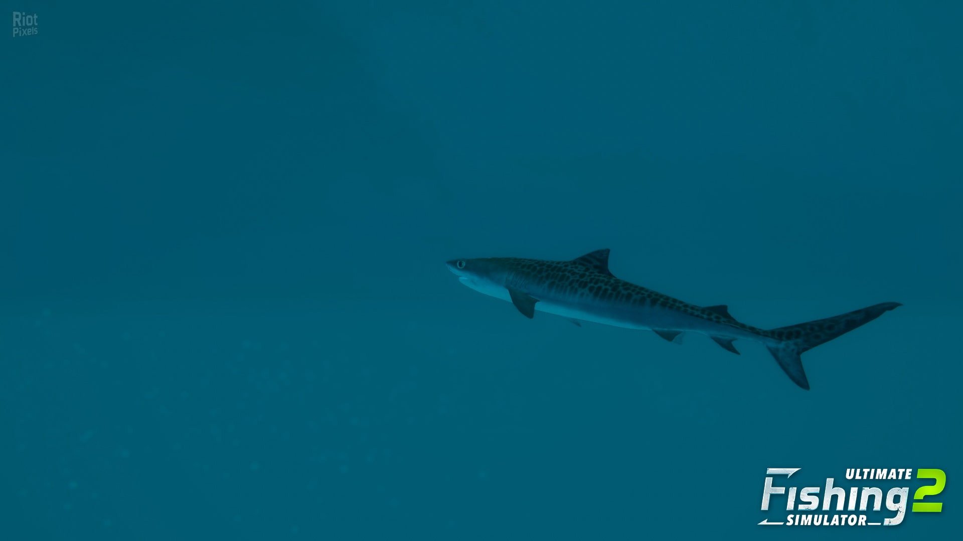 [15]-Ultimate Fishing Simulator 2 – v1.25.05.09.3975 Download