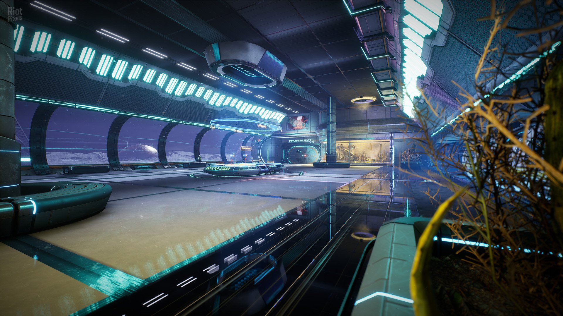 [15]-Relicta Download