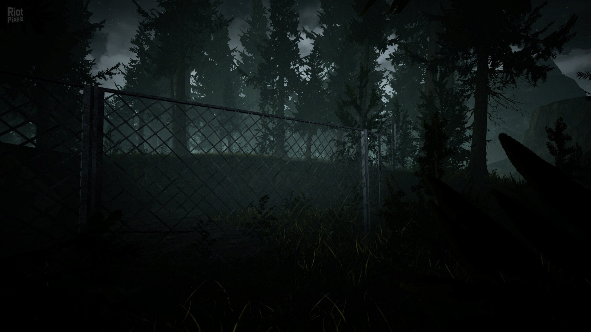 [5]-Raw Footage Download