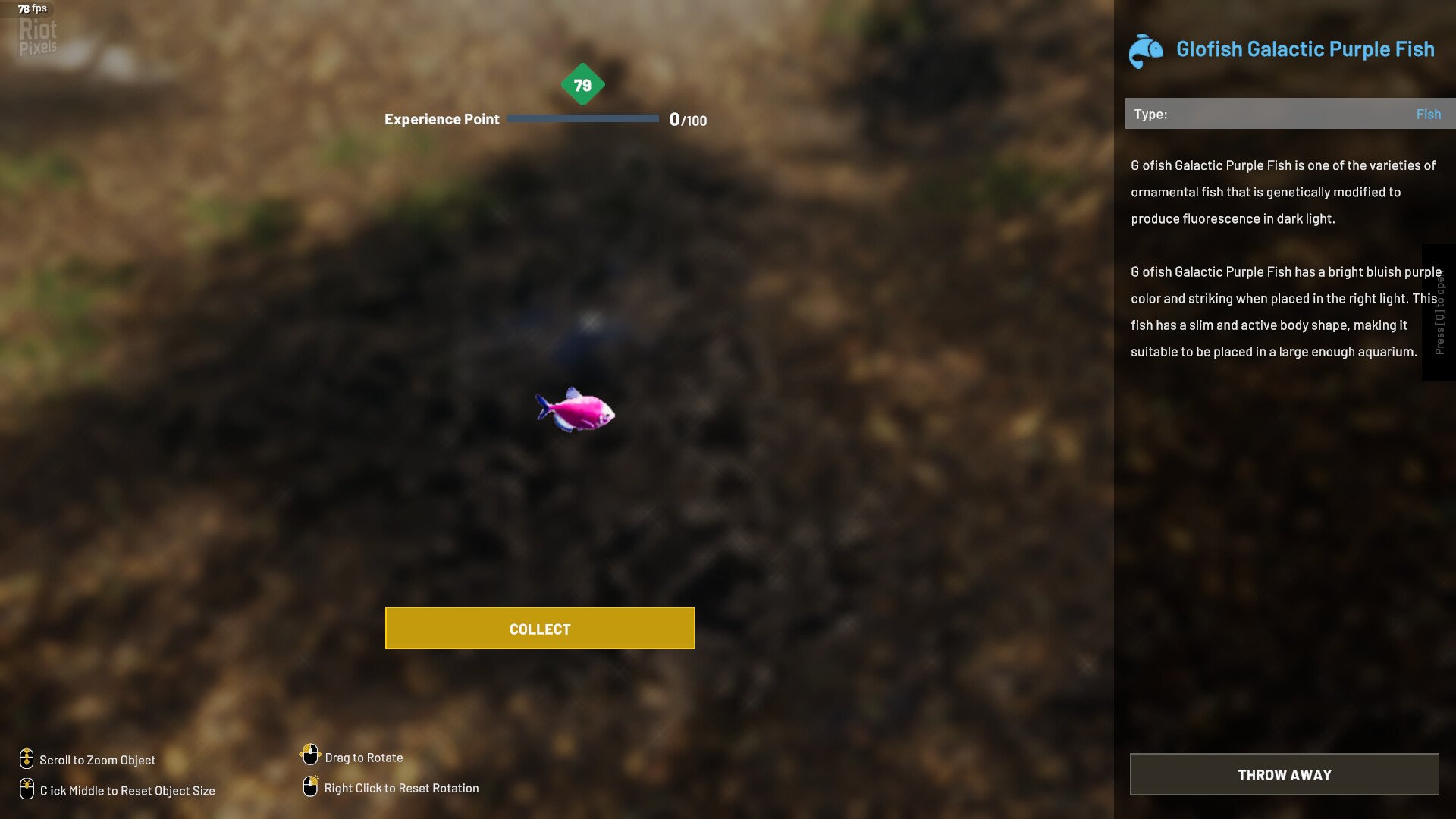 [4]-Aquascapers – v2024.18.4 (Release) Download