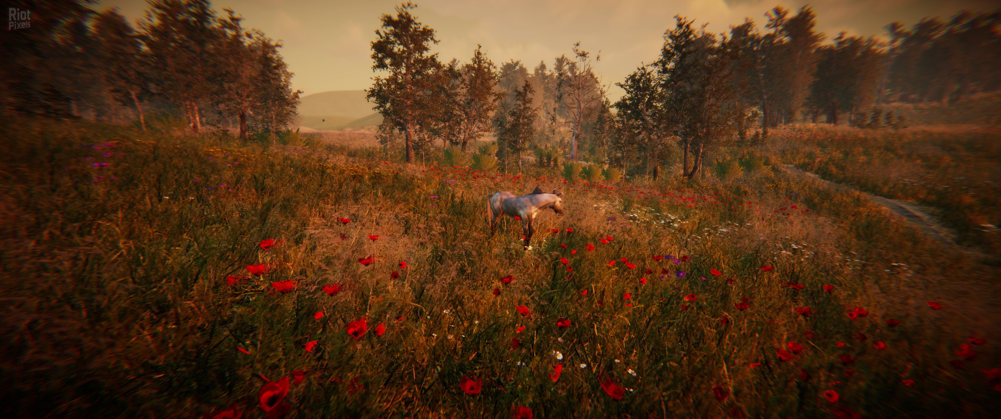 [9]-Animal Simulator Download