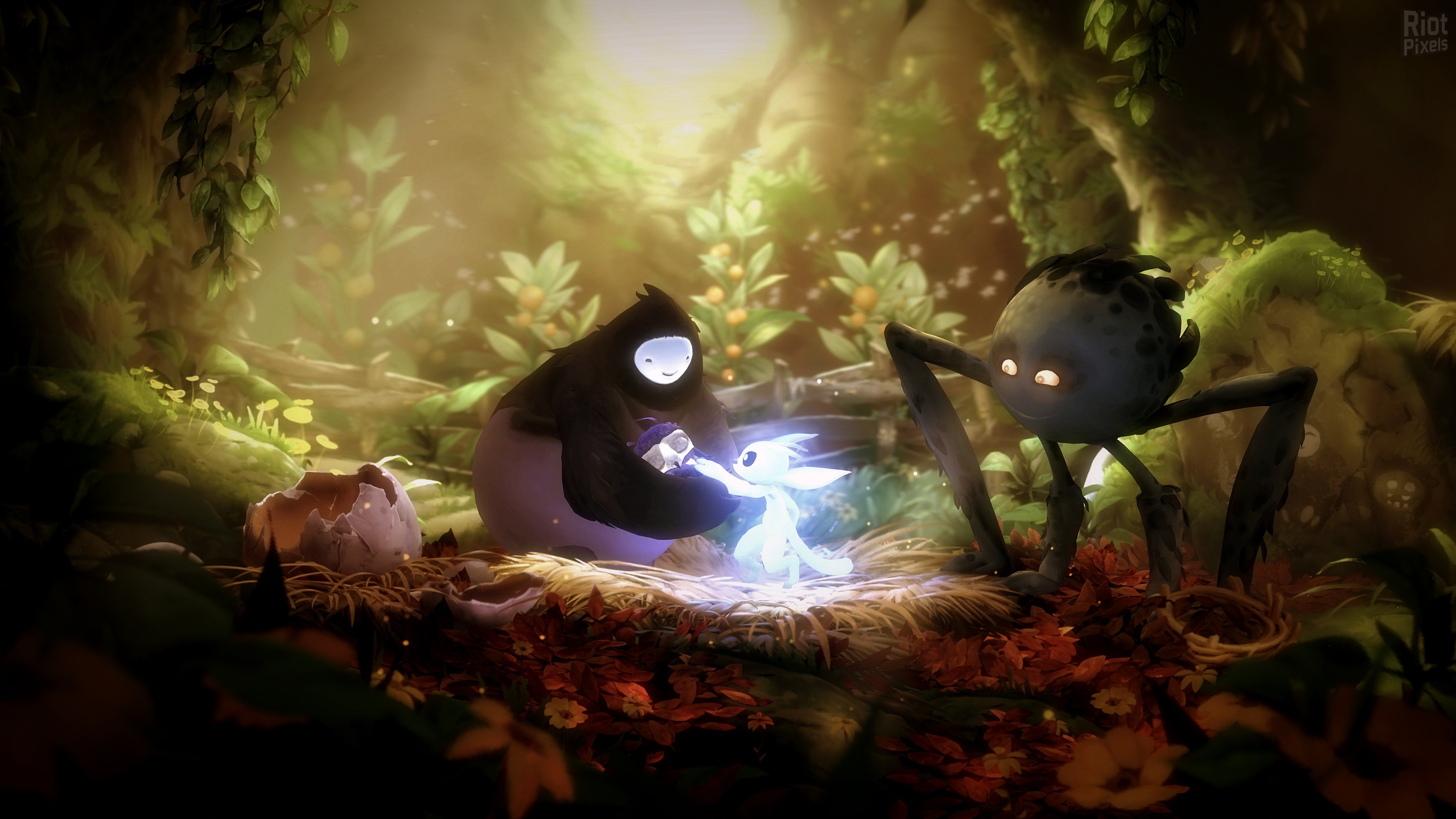 [14]-Ori and the Will of the Wisps Download