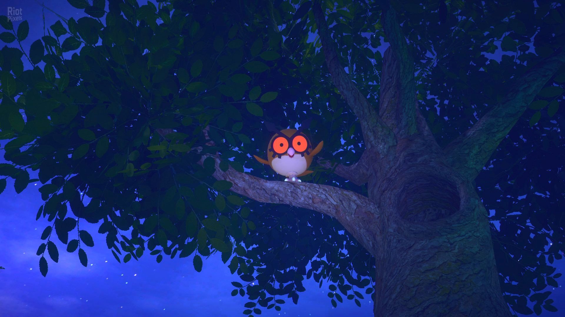 [9]-New Pokemon Snap – v1.1.0 + Ryujinx Emu for PC Download