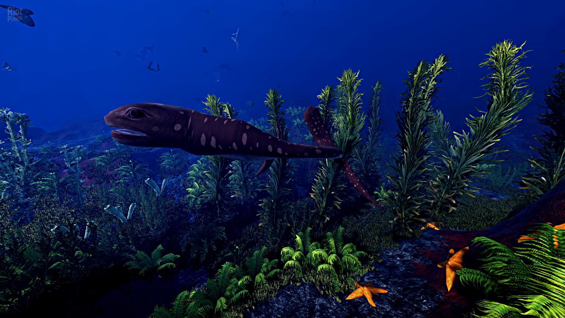 [8]-Ecosystem – v1.01 Download