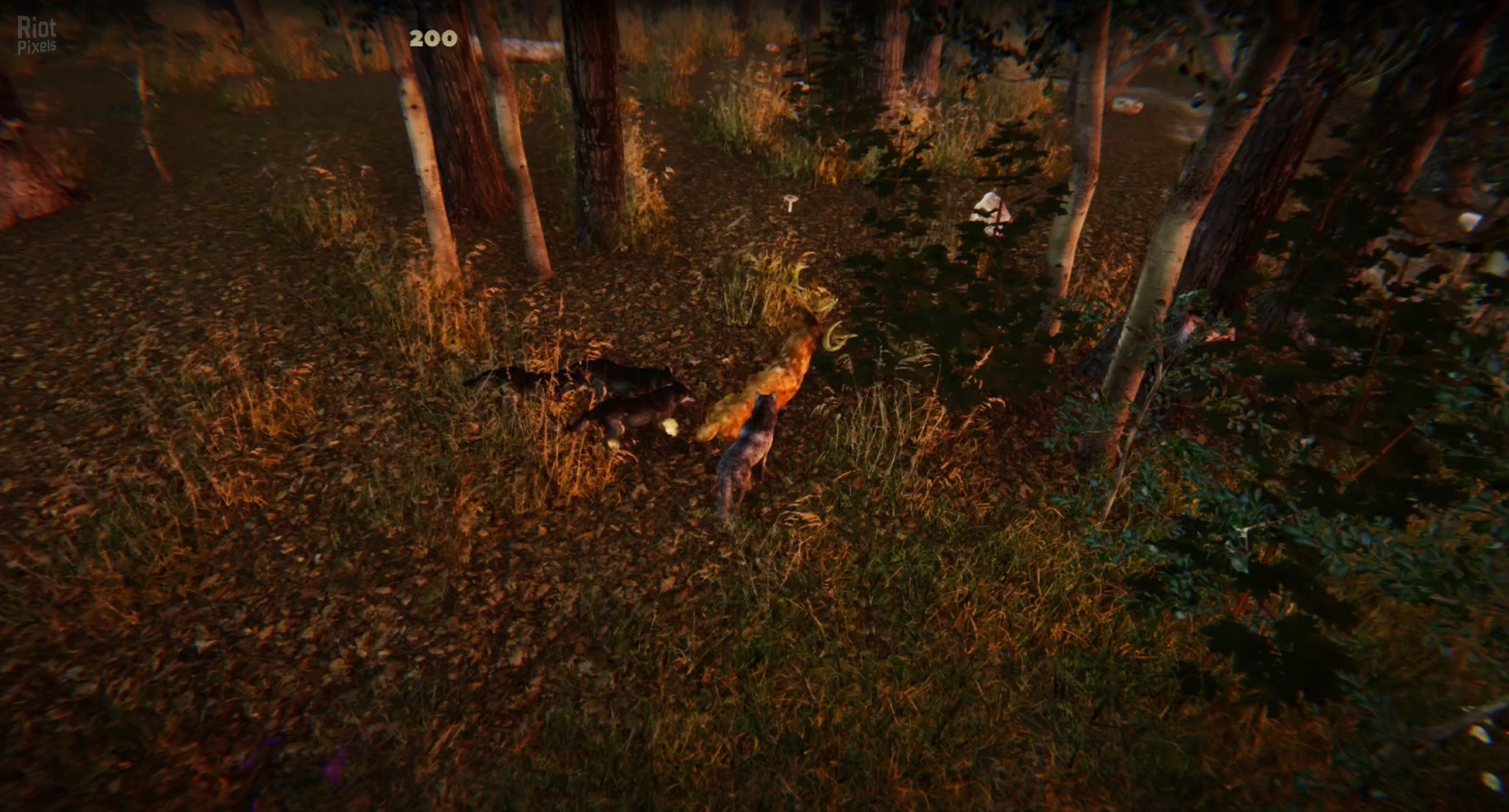 [16]-Animal Simulator Download