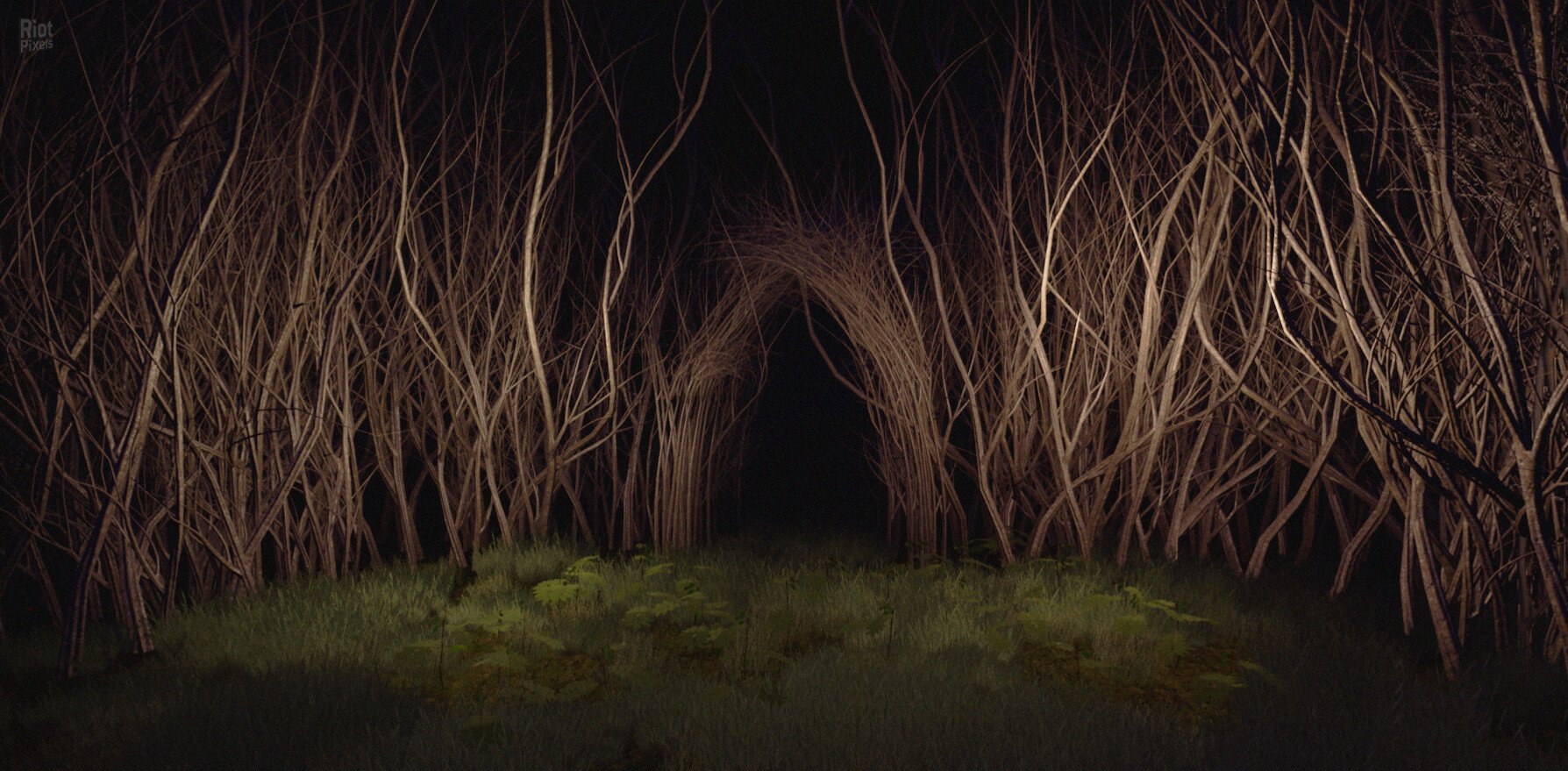 [3]-CONTORTED Download