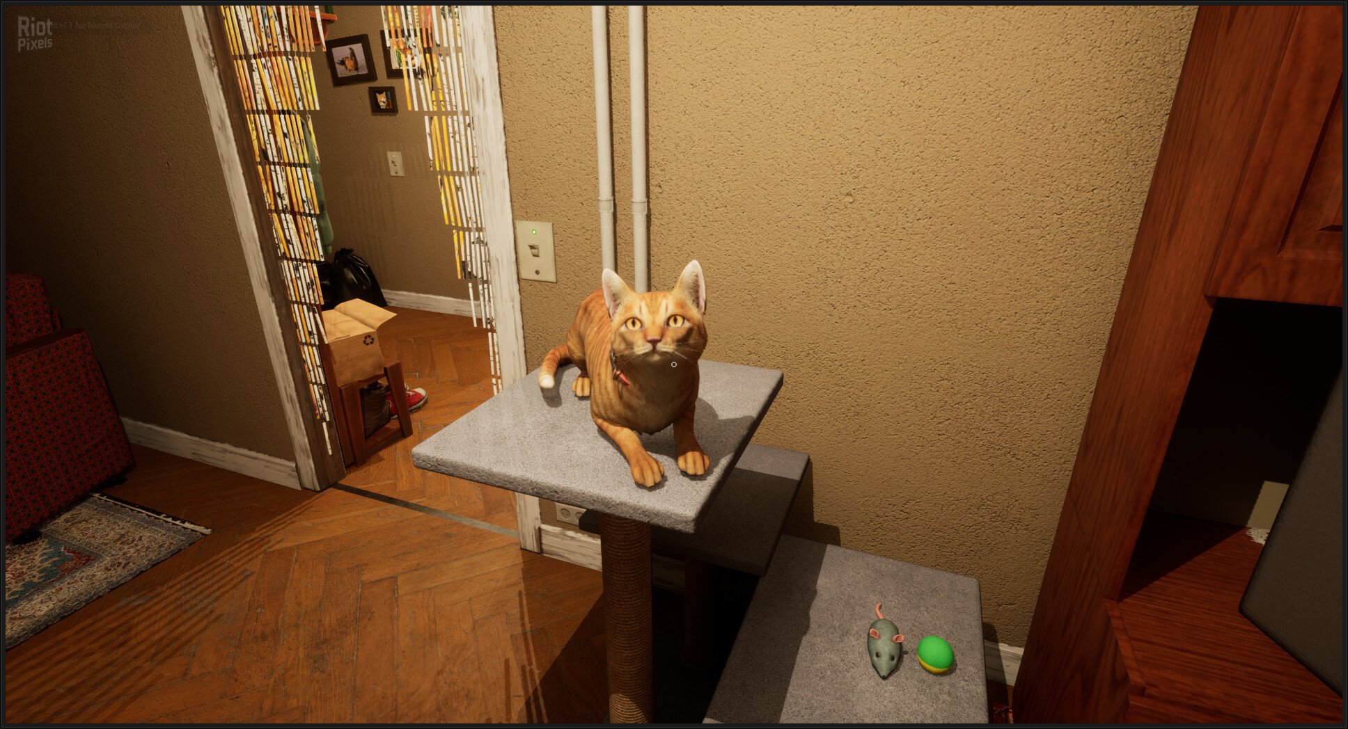 [6]-Cartier 06 Download