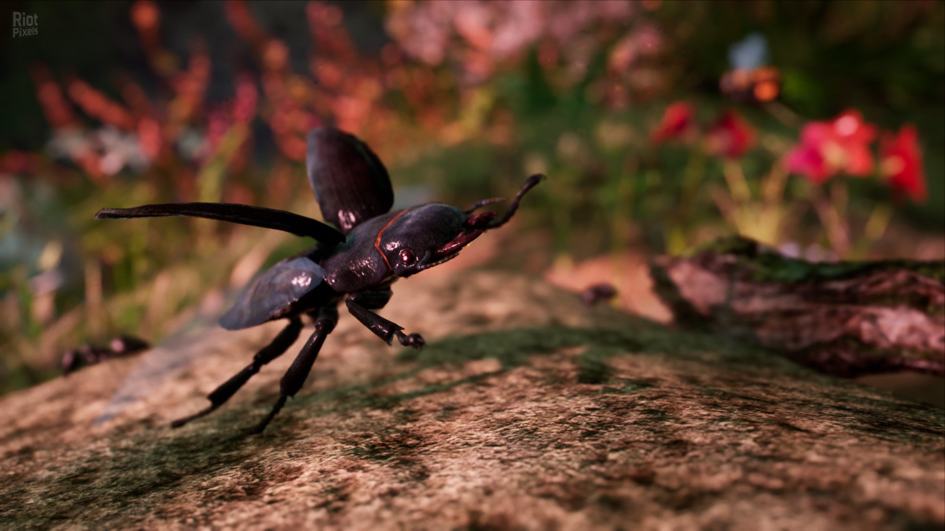 [4]-AWAY: The Survival Series + Windows 7 Fix Download