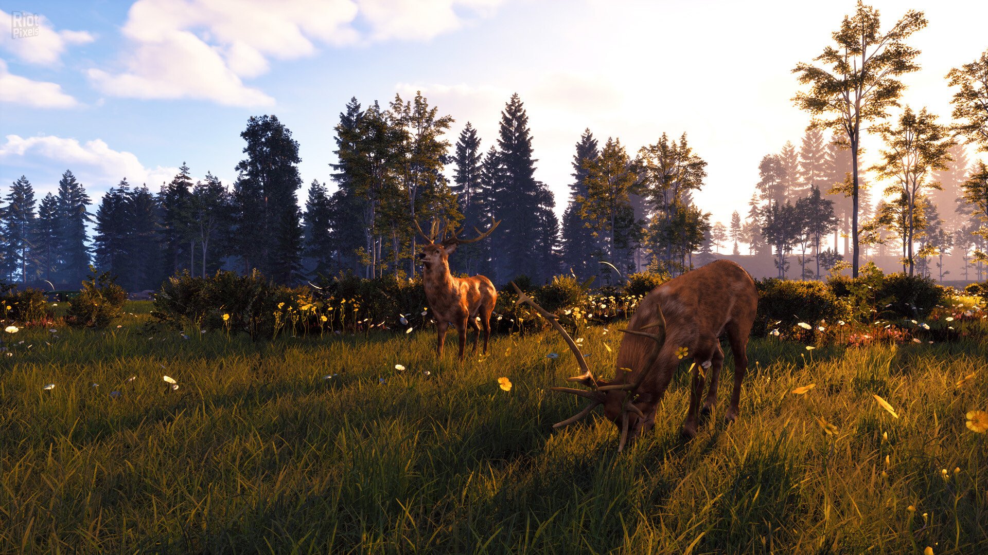 [2]-Windstorm: Start of a Great Friendship – Remastered: Complete Edition, v1.0.5 + Winter Wonderland DLC + Windows 7 Fix Download