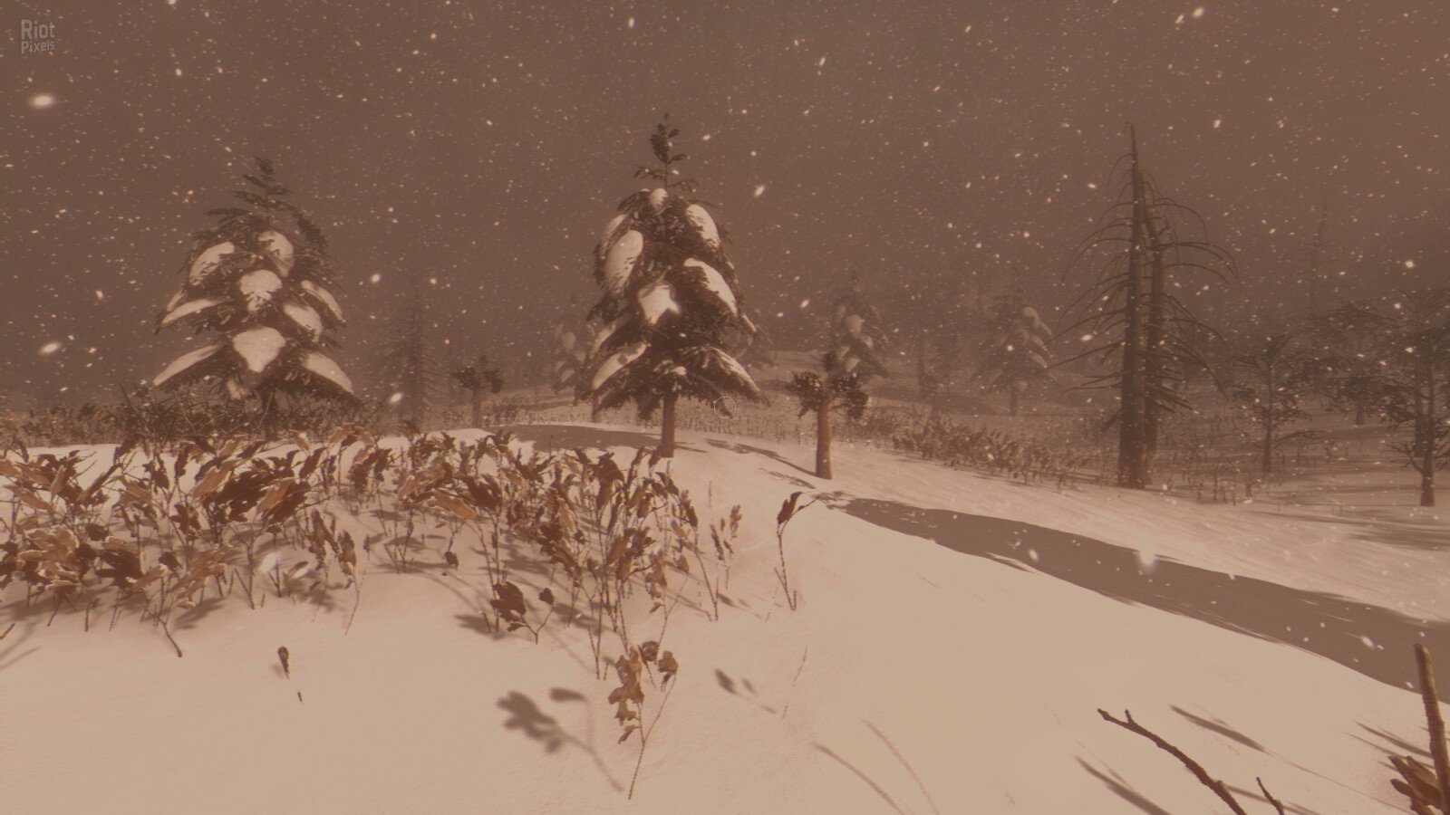 [4]-Tales Beyond The Tomb: Pineville Night Stalker Download