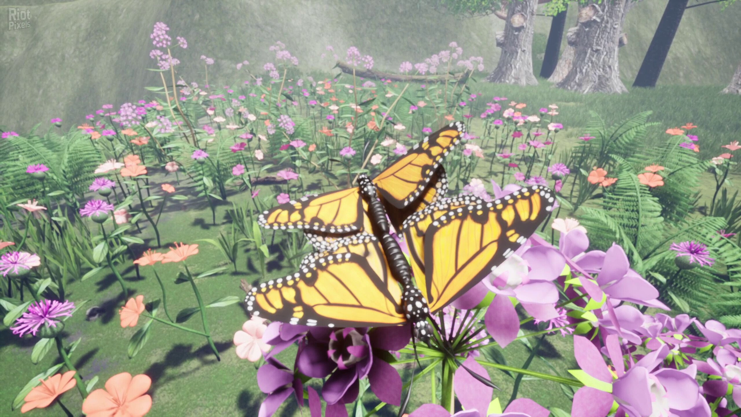 [2]-Nature & Life: Drunk On Nectar + Bonus Soundtrack Download