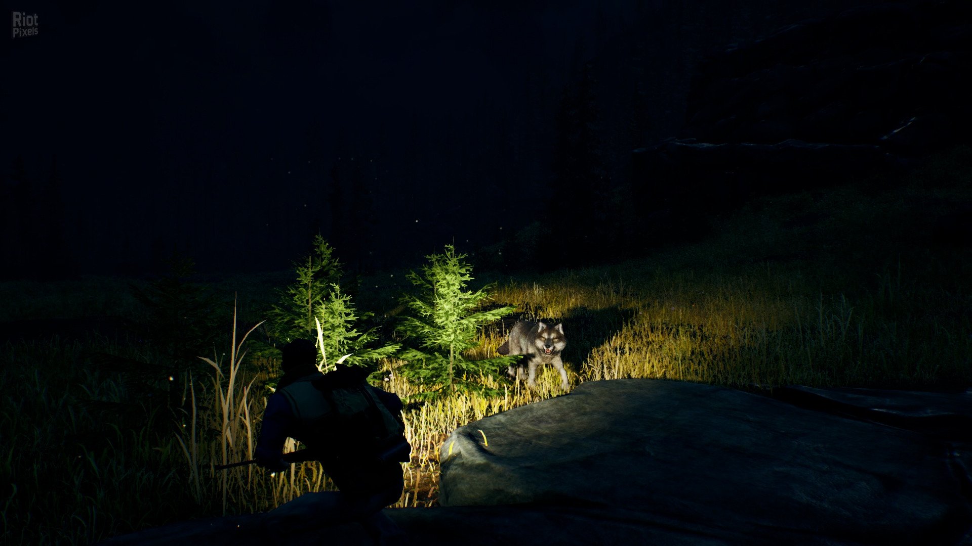 [12]-Open Country – v1.0.0.2636 Download