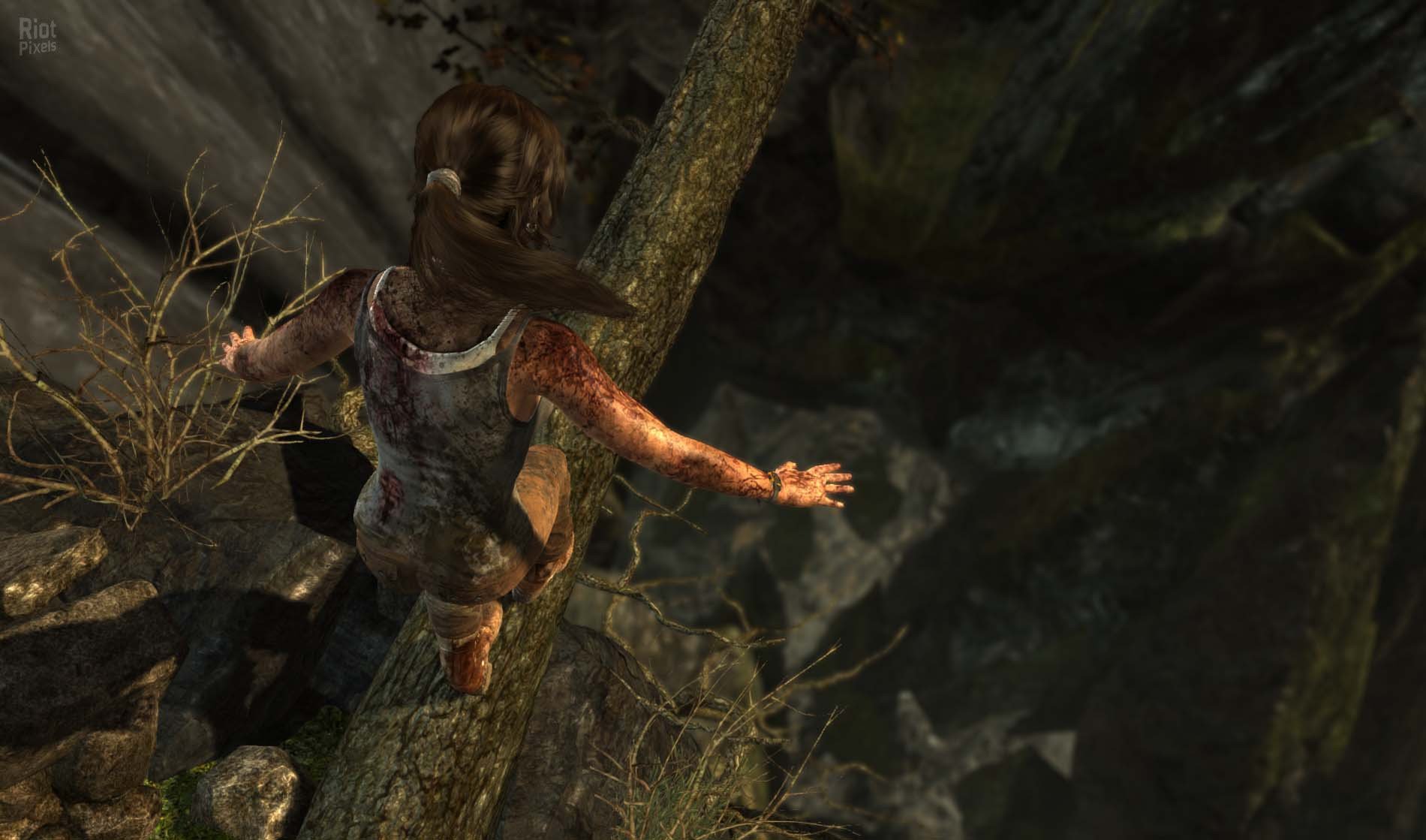 [3]-Tomb Raider: Definitive Edition – v1.01.0.0 + All DLCs Download