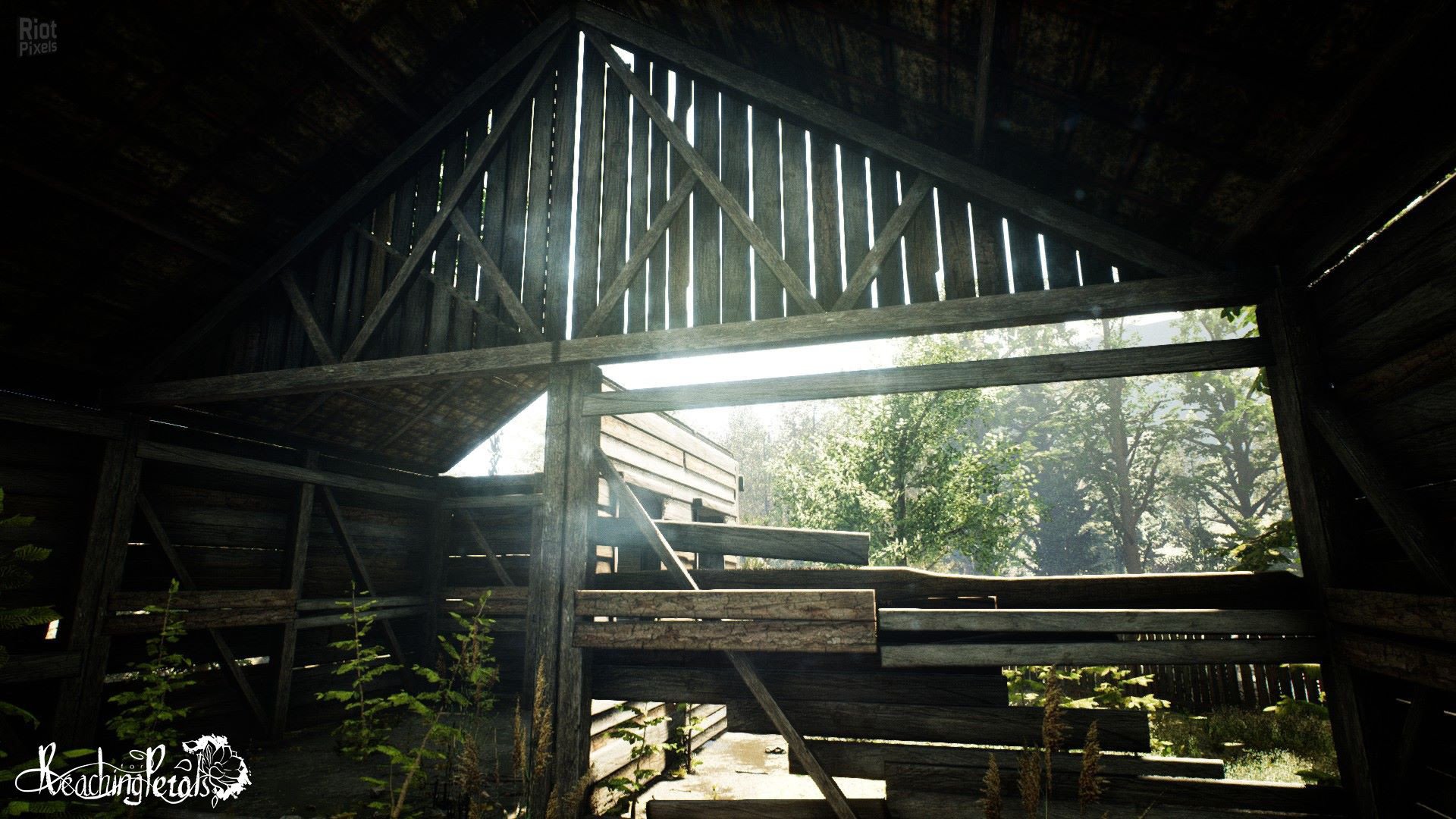 [9]-Reaching for Petals Download