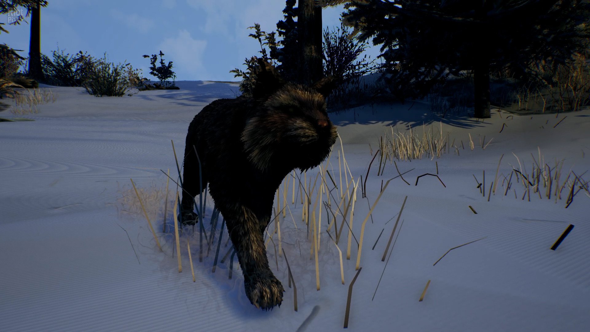 [13]-Open Country – v1.0.0.2636 Download