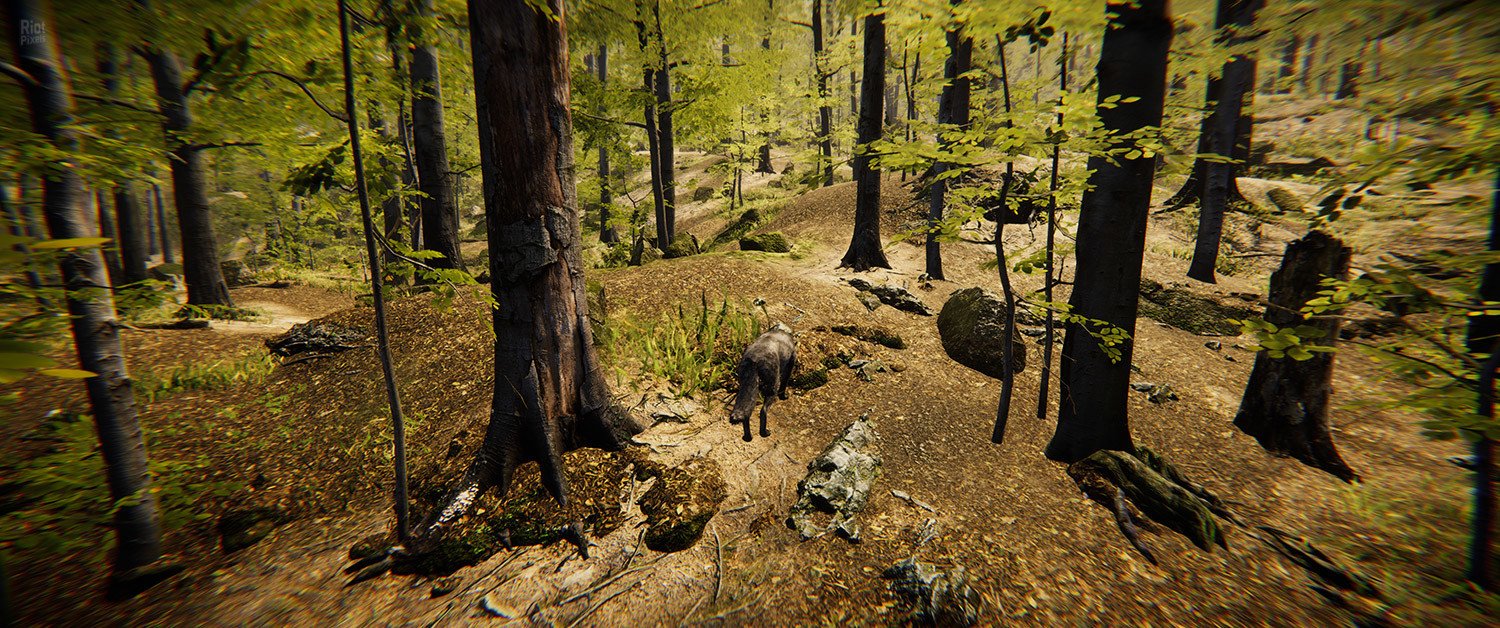 [3]-Animal Simulator Download