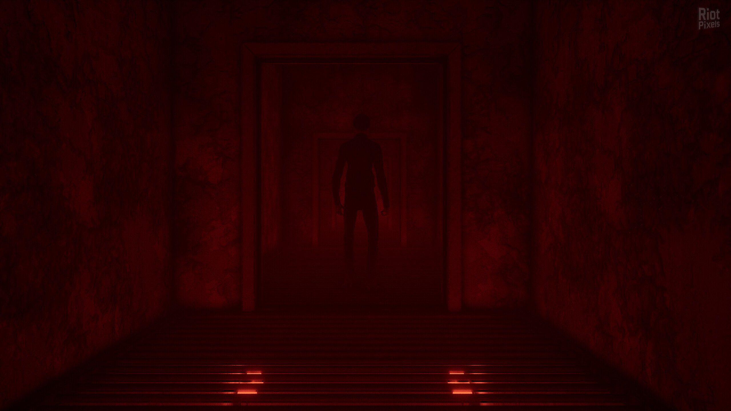 [6]-Gym Nights Download