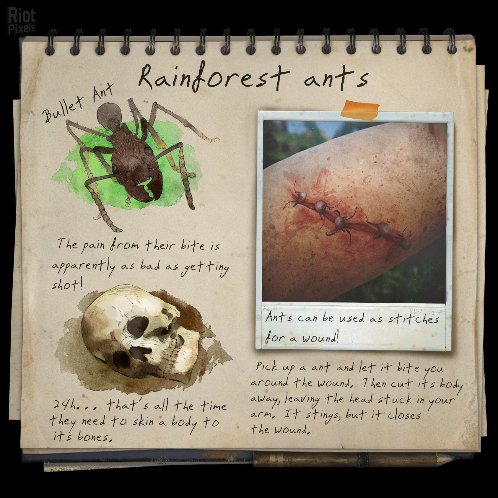 [26]-Green Hell – v2.2.0 build 31580 / v2.2.1 build 31671 Download