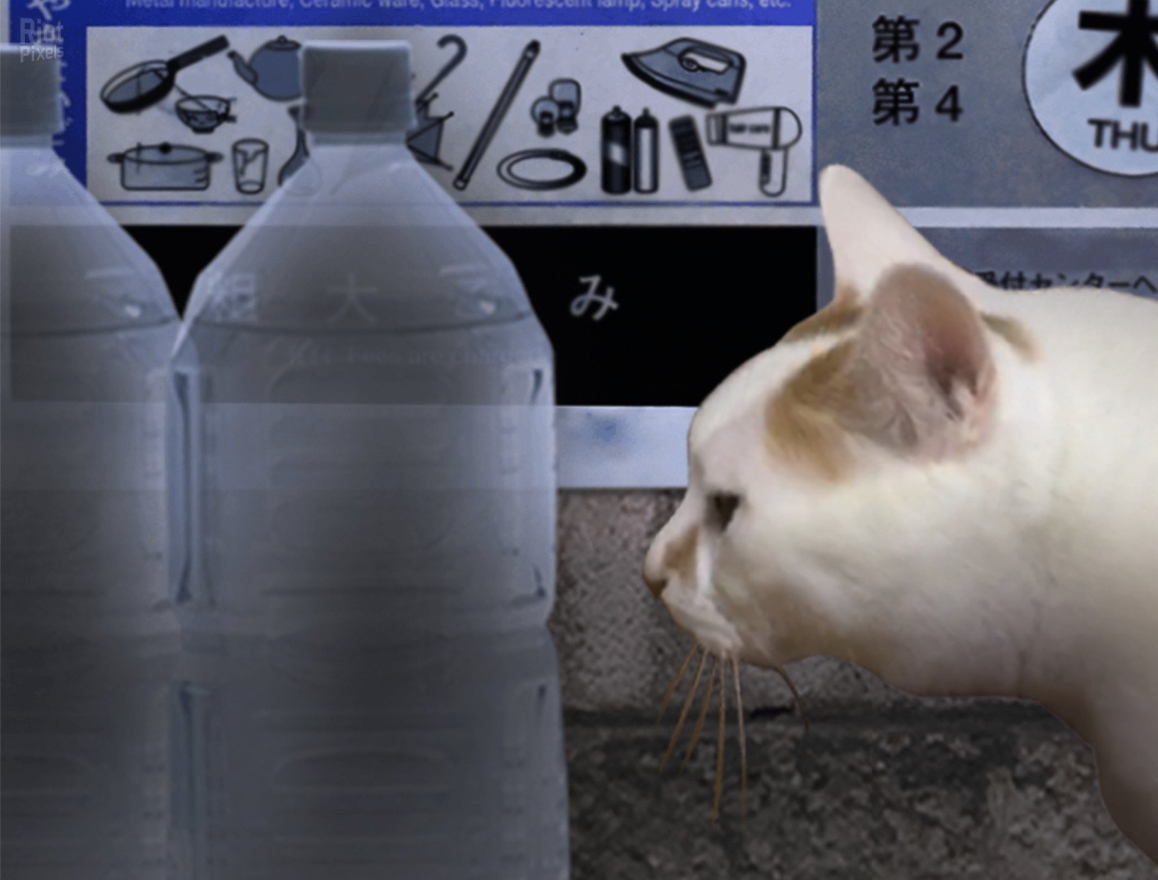 [3]-Tsugunohi – v20231019 + 2 DLCs Download