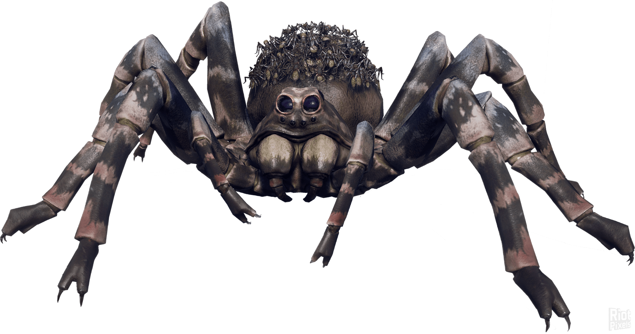 [29]-Earth Defense Force: Iron Rain + 52 DLCs + Multiplayer Download