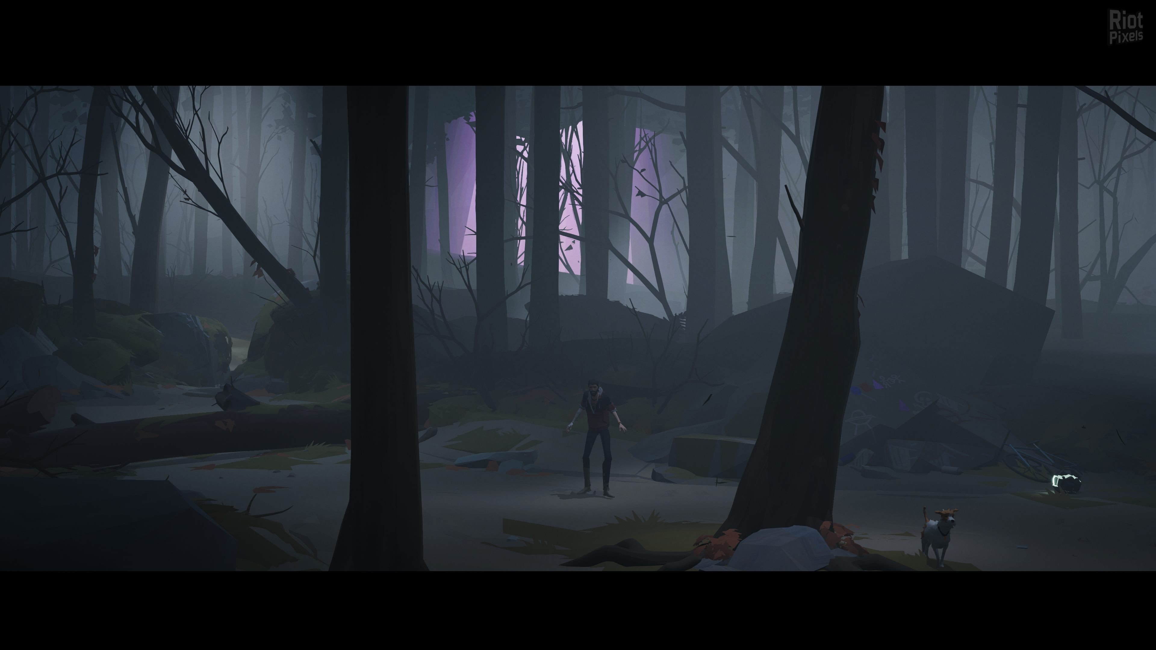 [16]-Somerville Download