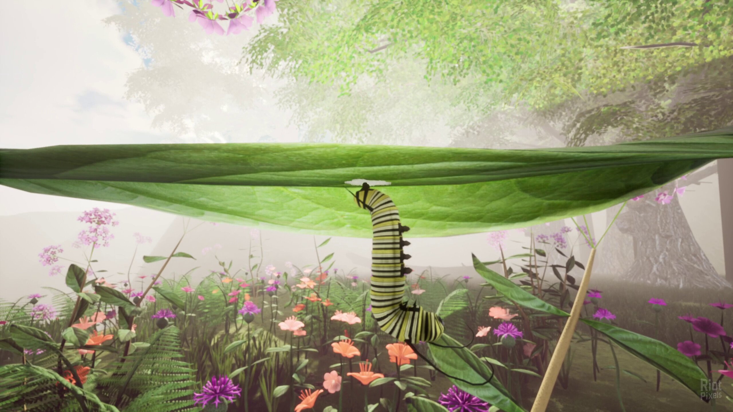 [10]-Nature & Life: Drunk On Nectar + Bonus Soundtrack Download