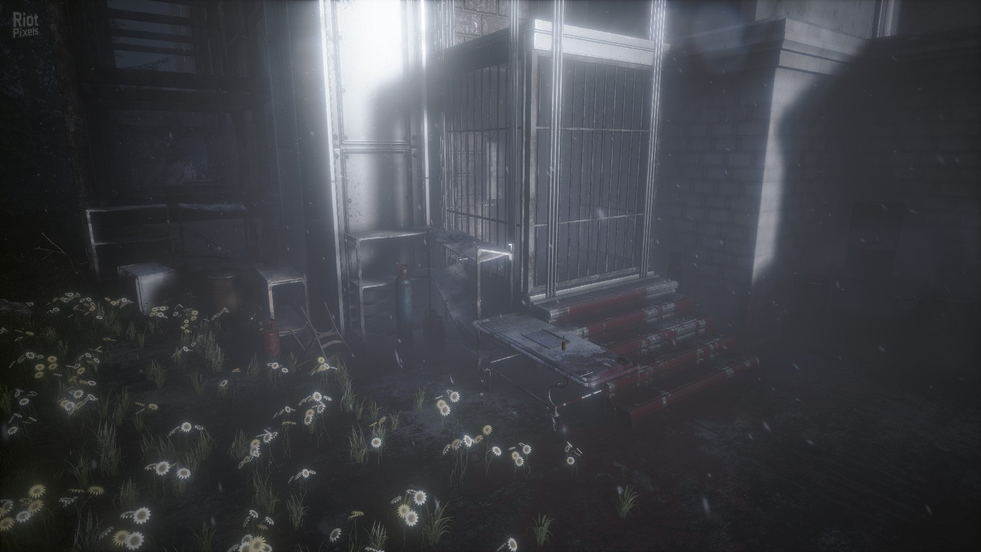 [4]-The Butterfly Sign – v1.1.2/Update 5 Download