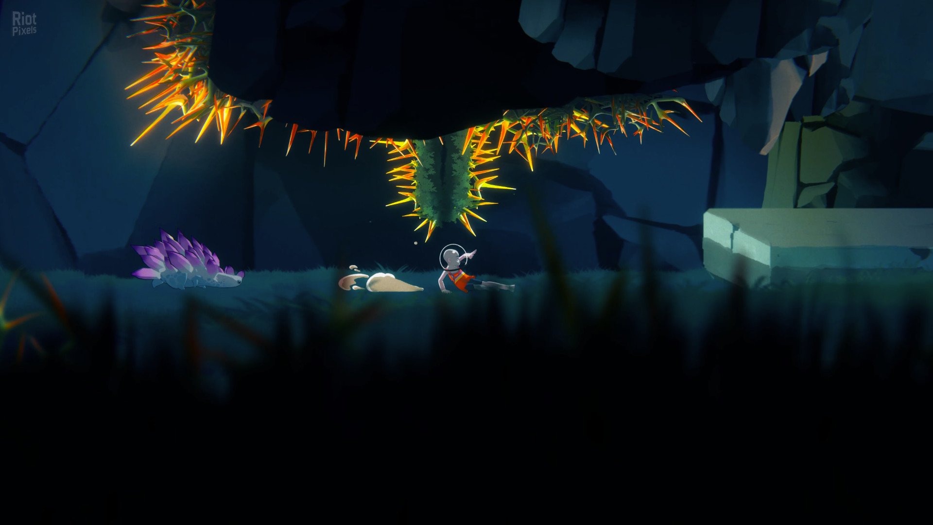 [5]-The Cub: Deluxe Edition + Bonus Soundtrack Download