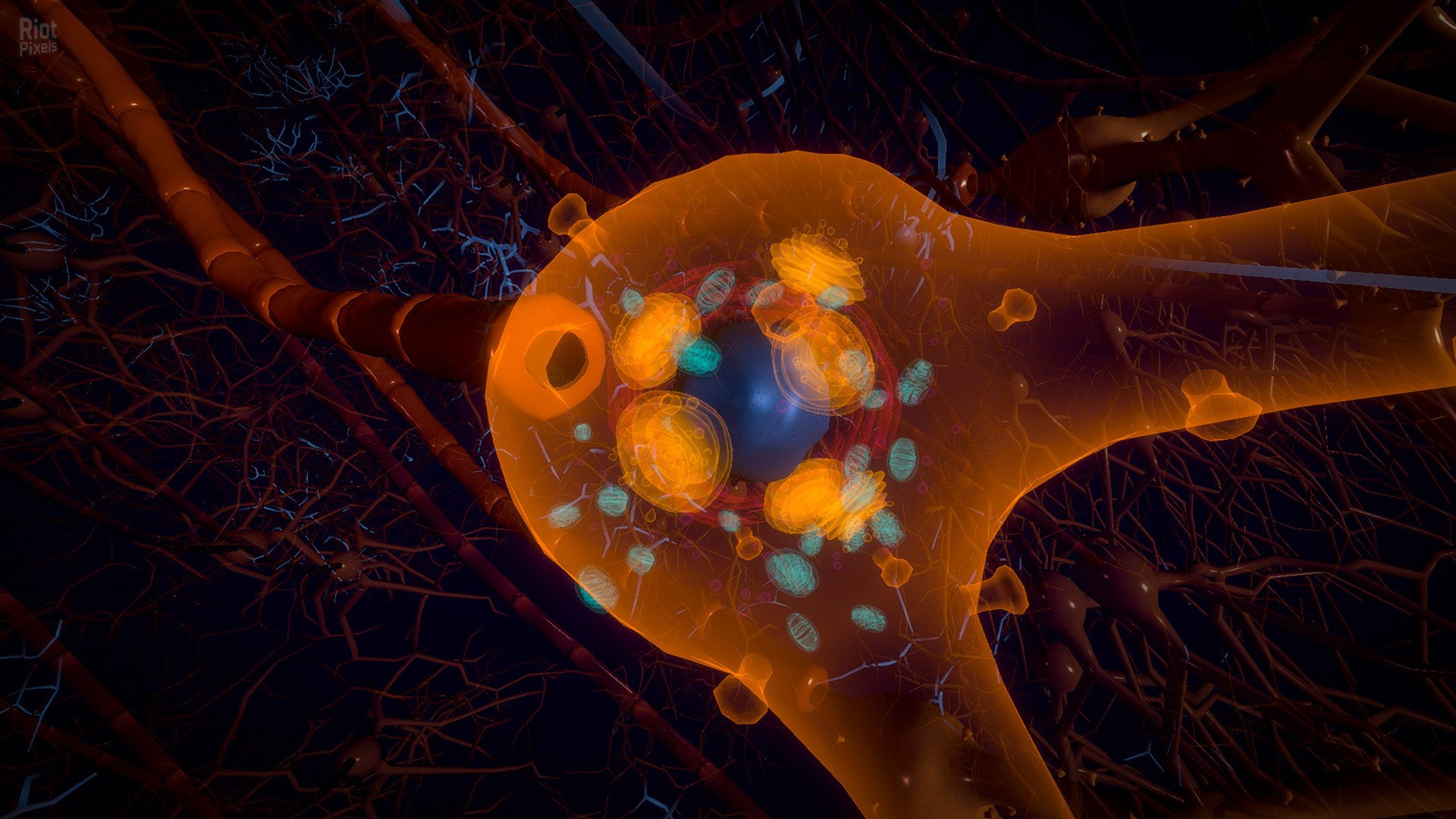 [10]-Orders of Magnitude – v1.0 (Release) Download