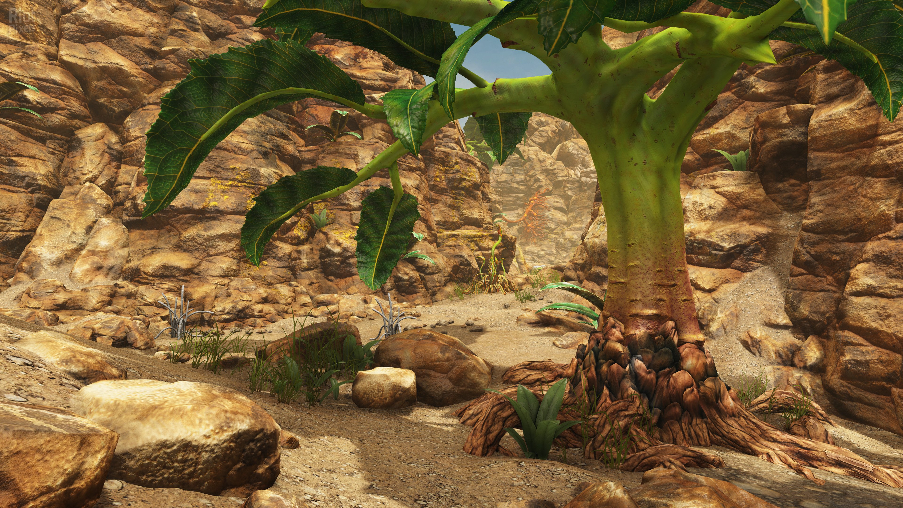 [9]-Claire de Lune Download